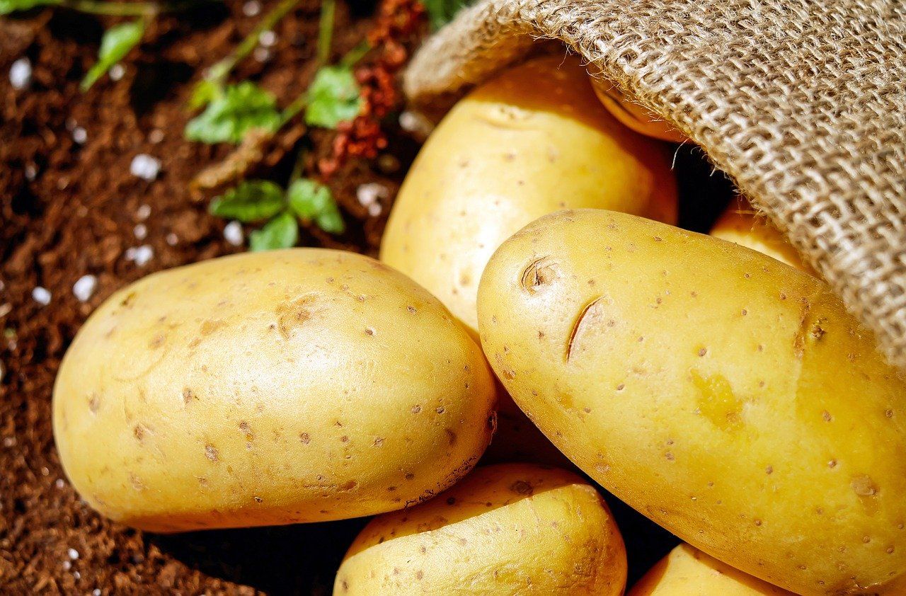 La patata, un alimento con innumerables beneficios, según Productos Monti