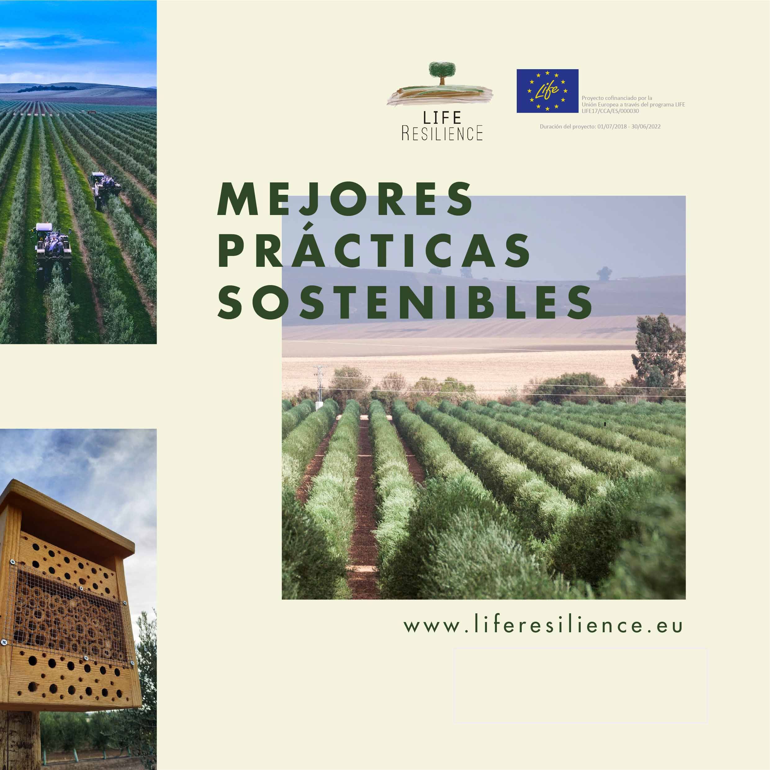 Life Resilience cierra 2021 con grandes avances contra la Xylella Fastidiosa