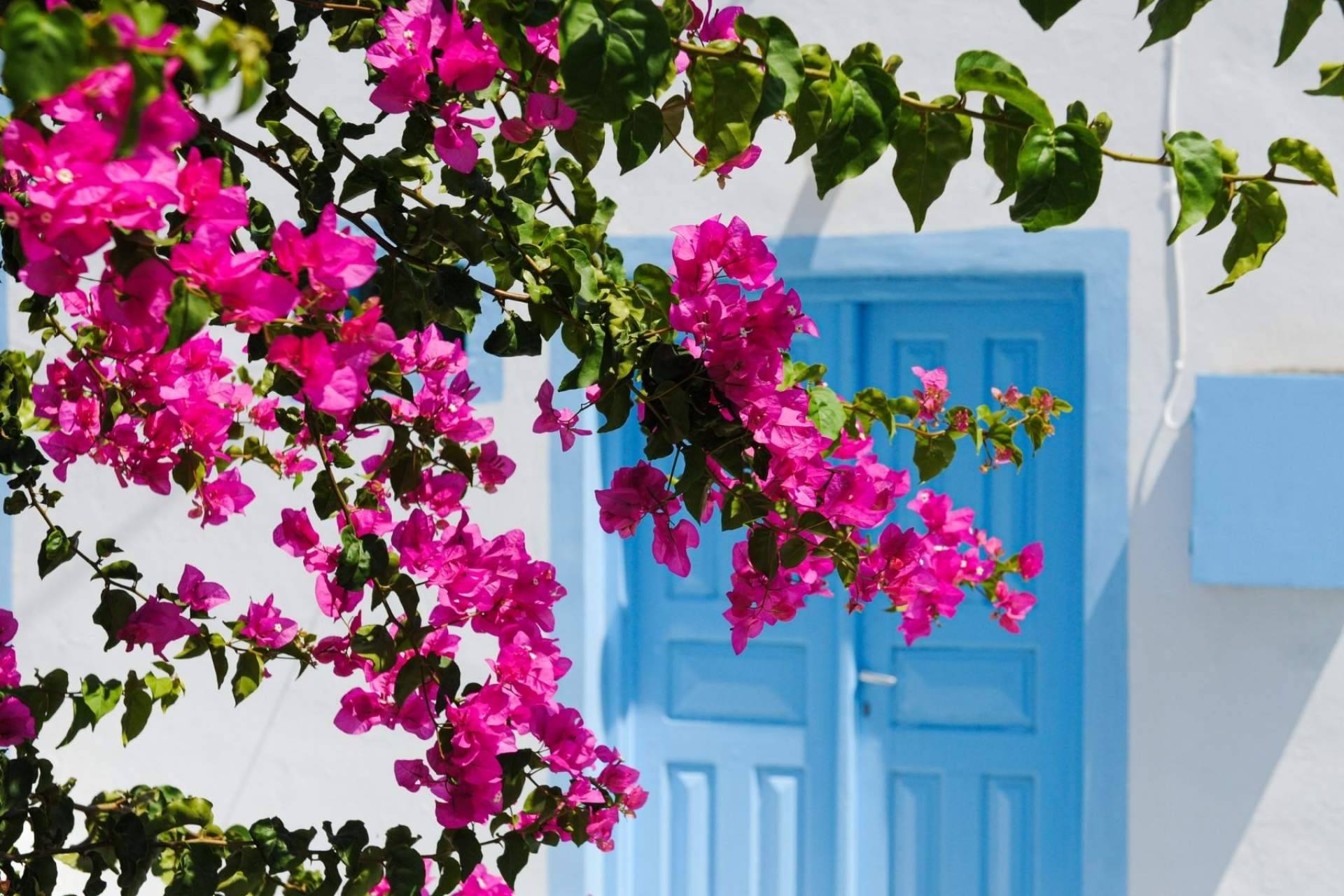 La cocina griega en Aribau llega de la mano de la propuesta gastronómica de Greek Aribau