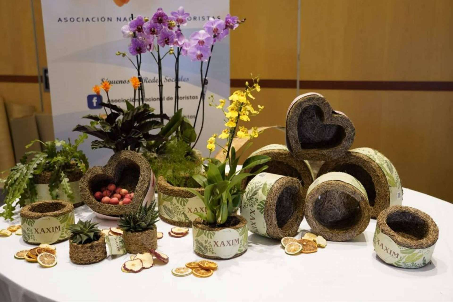 Un regalo ecológico y original para el día de los enamorados, sorprender a la pareja y cuidar el planeta de la mano de Biosolvit Spain