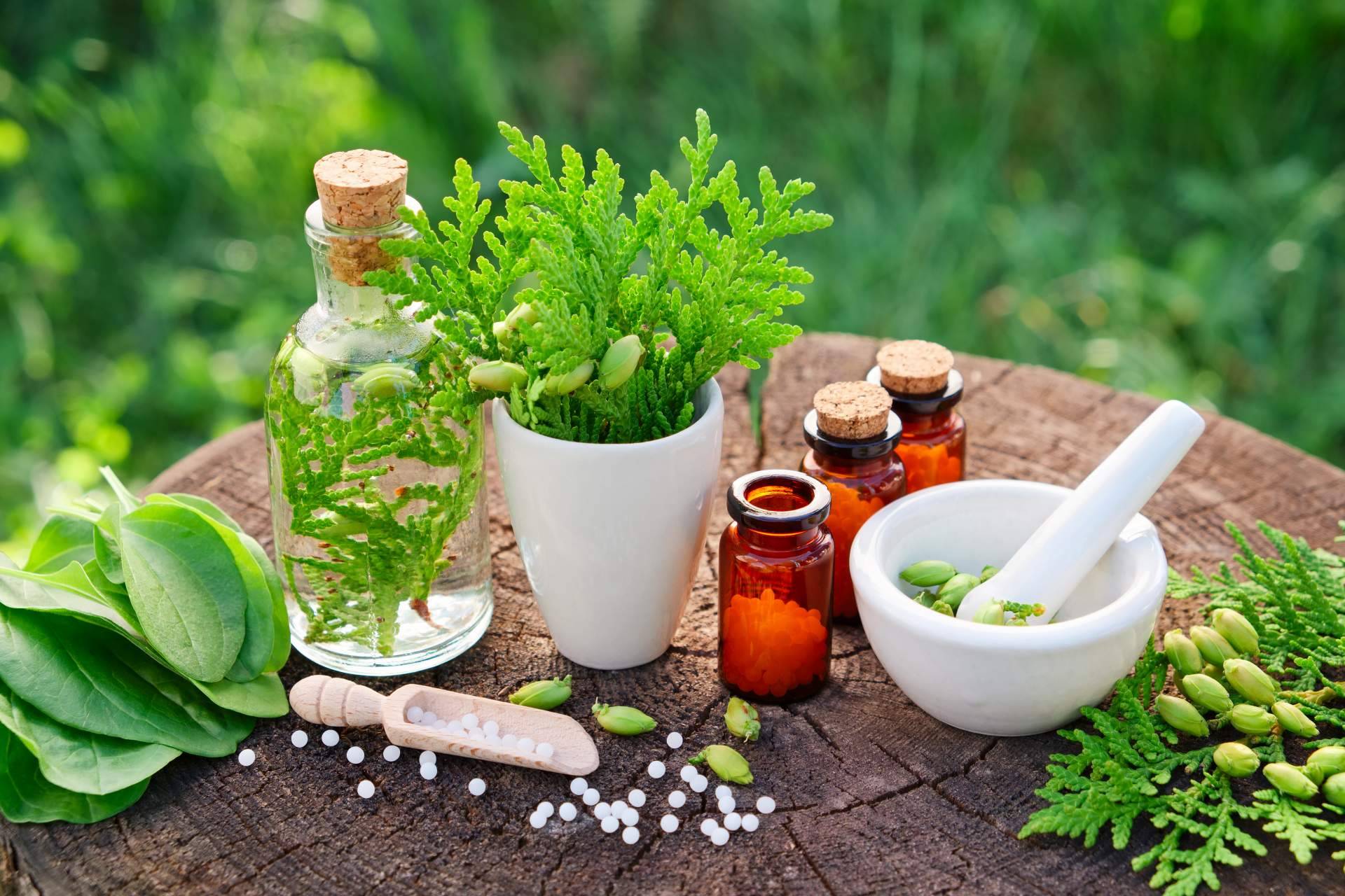 ¿Qué es la naturopatía?, según Rambla 6