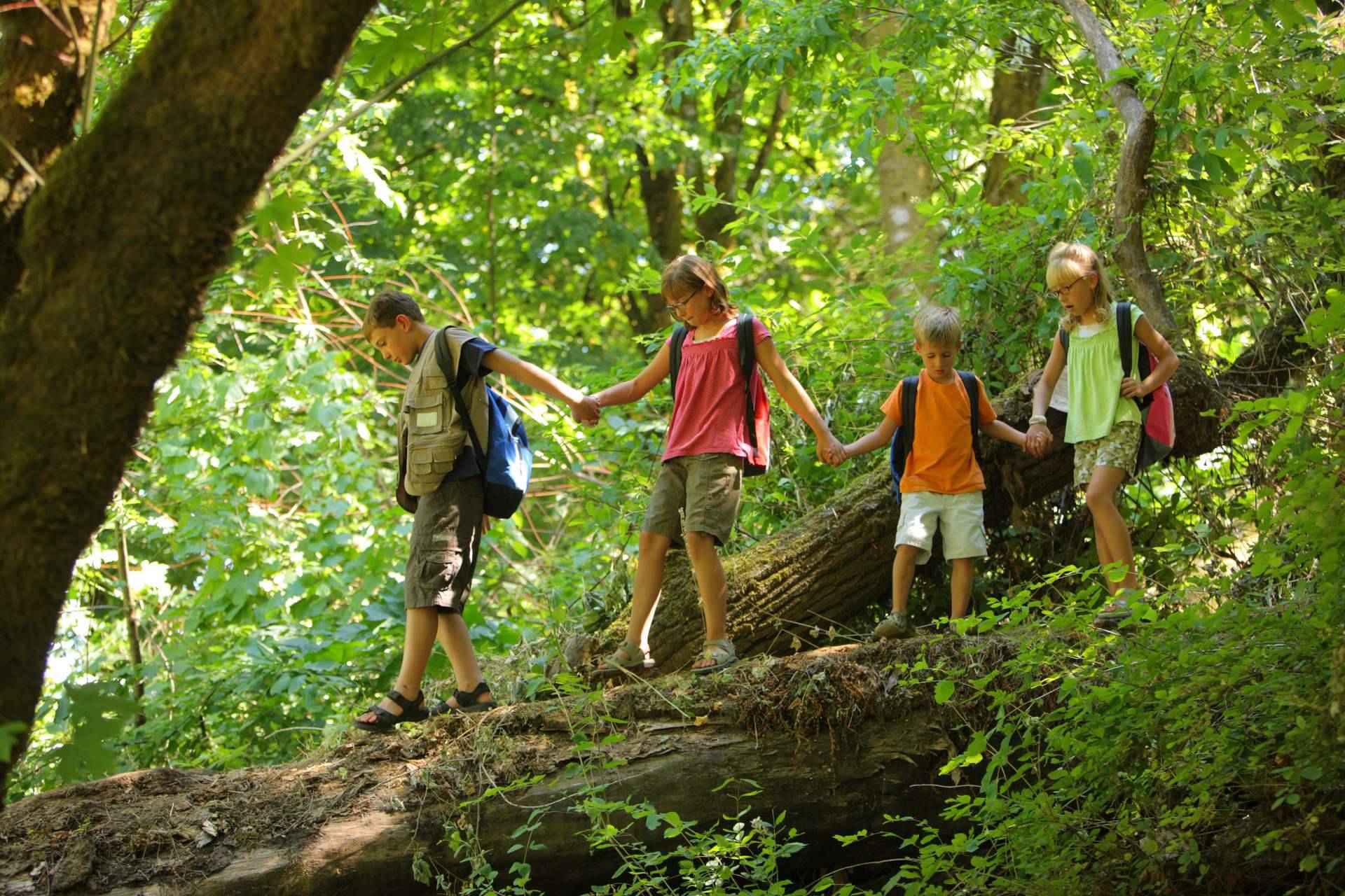 Conectar con la naturaleza gracias a los campamentos de verano de Aventurarte
