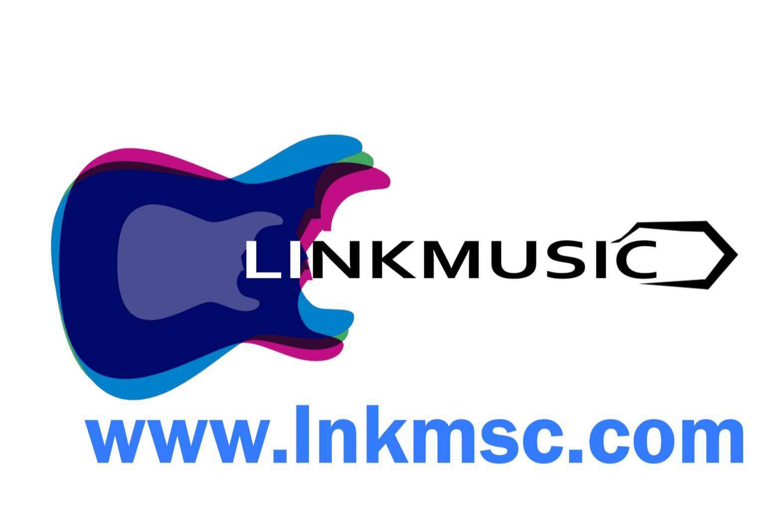 La propuesta que ofrece Linkmusic, la plataforma especializada en música