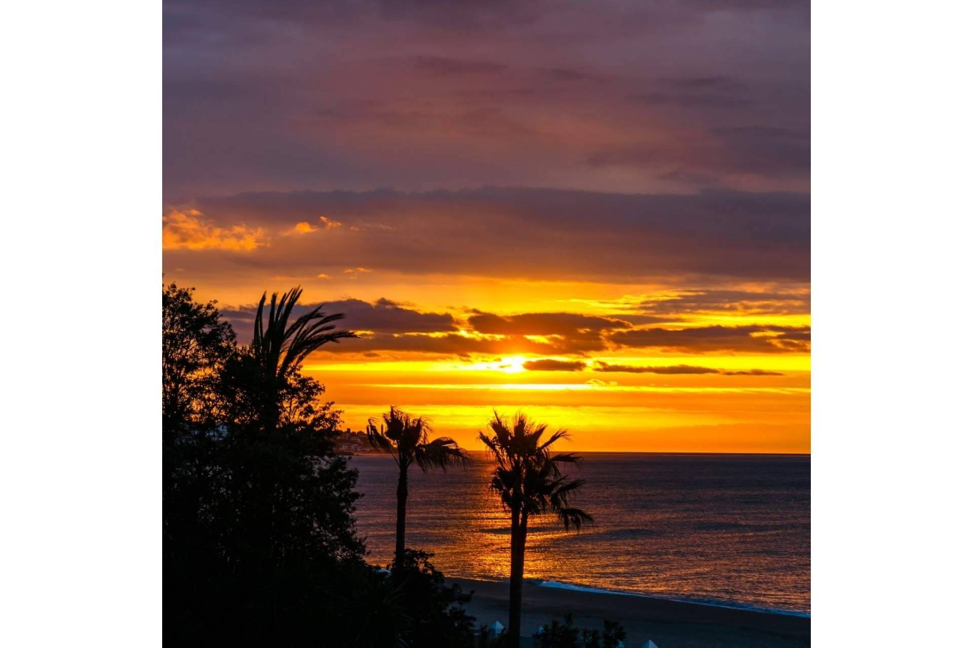 Encontrar viviendas de ensueño en la Costa del Sol de la mano de la inmobiliaria StreaM Flats