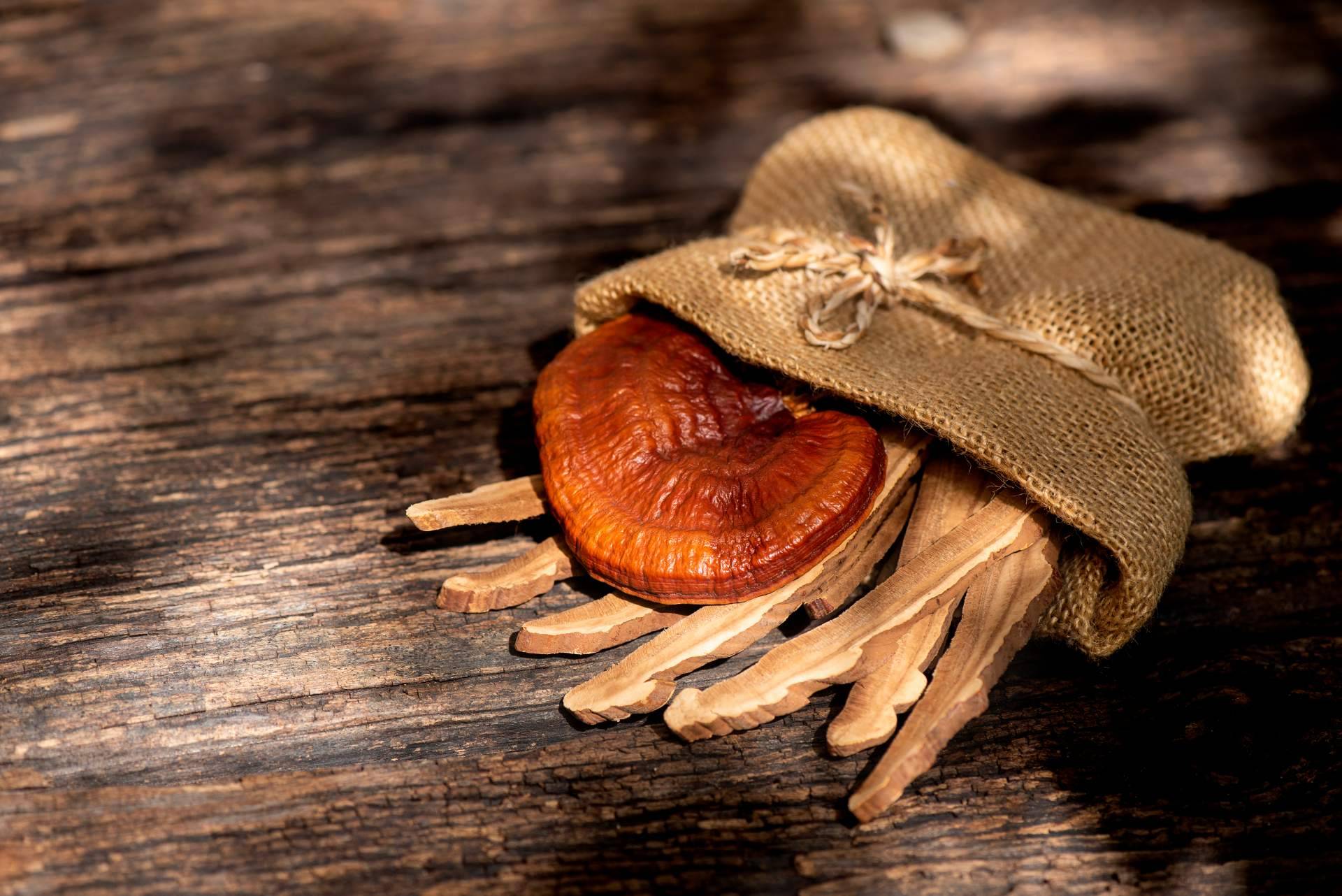 Para mejorar la salud y el bienestar, el hongo Reishi es un aliado alternativo
