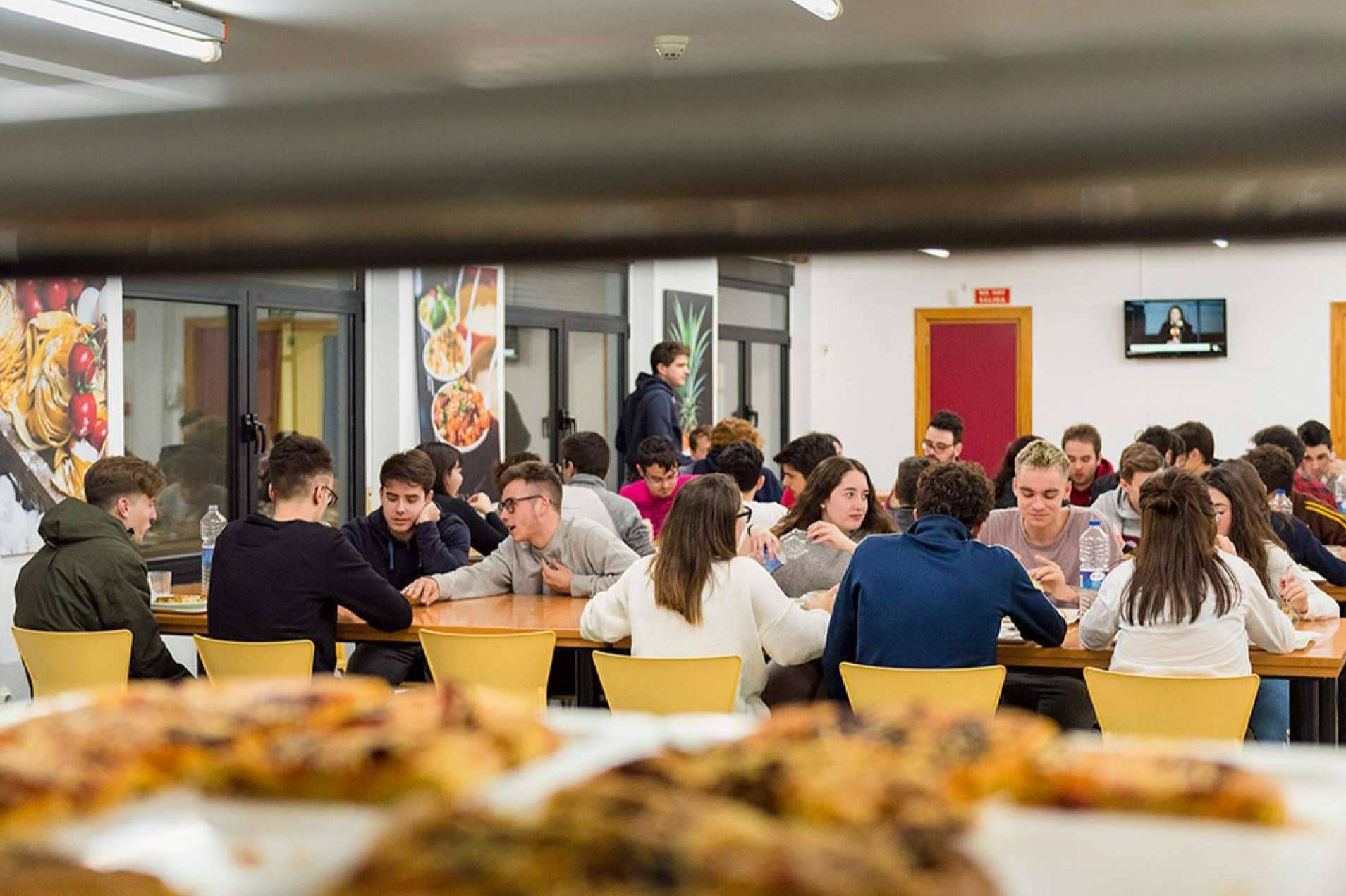 ¿Cuáles son las principales características que debe tener una residencia para estudiantes?, por Colegio Mayor Ovidi Montllor