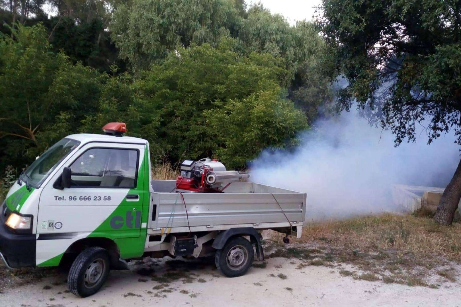Las lluvias en Castellón obligan a intensificar los tratamientos contra las plagas