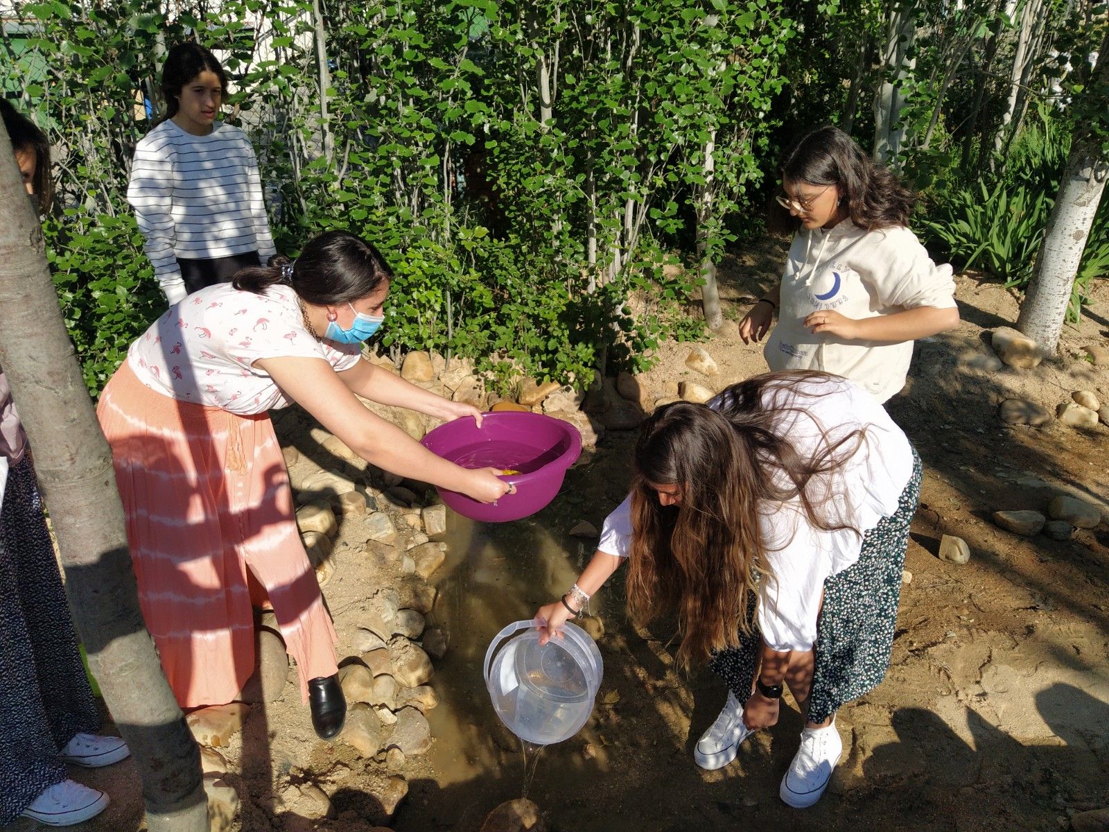 El Colegio Base se convierte en un oasis de biodiversidad para anfibios y otros animales y plantas