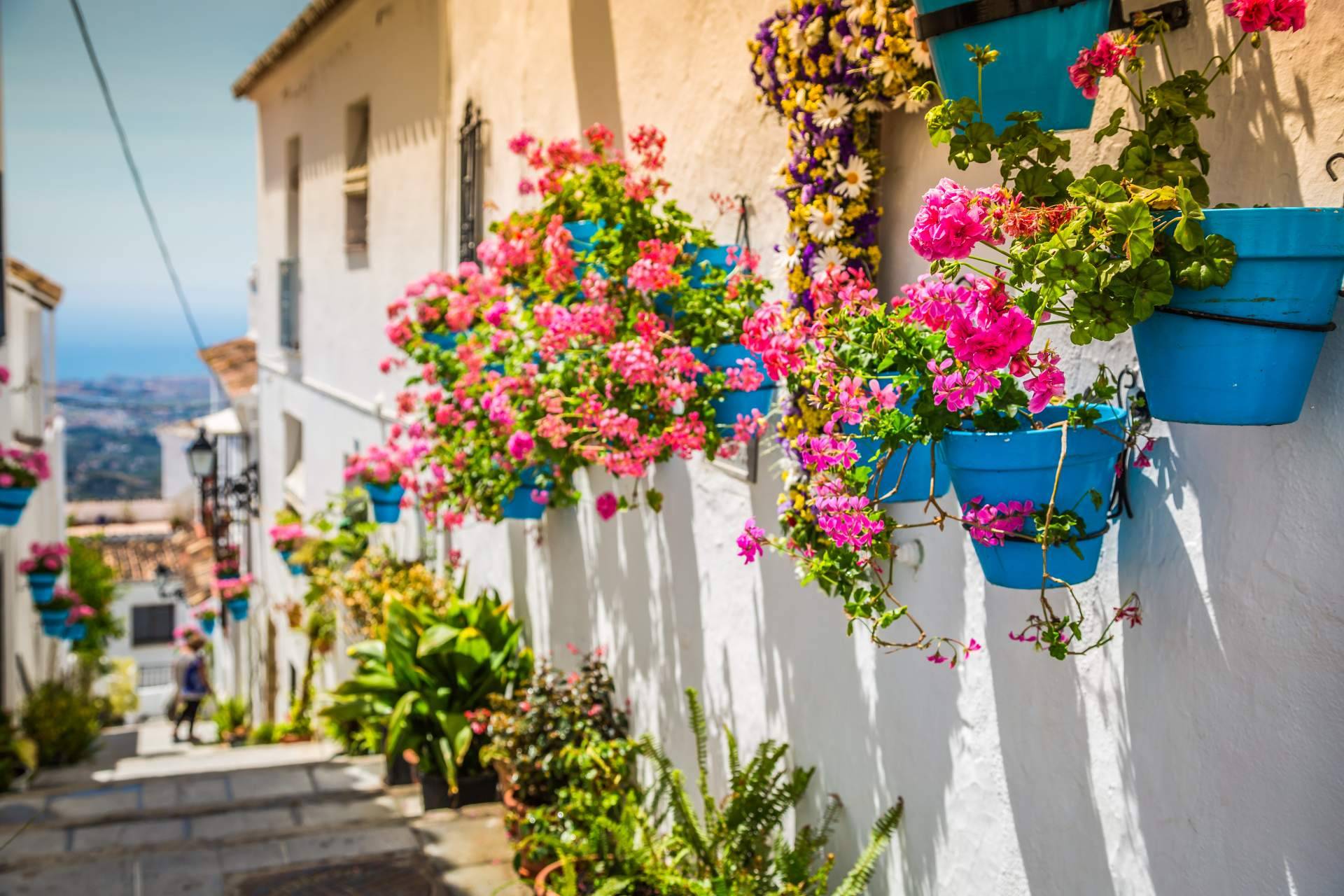 El futuro del municipio de Mijas en 10 puntos claves para su ciudadano