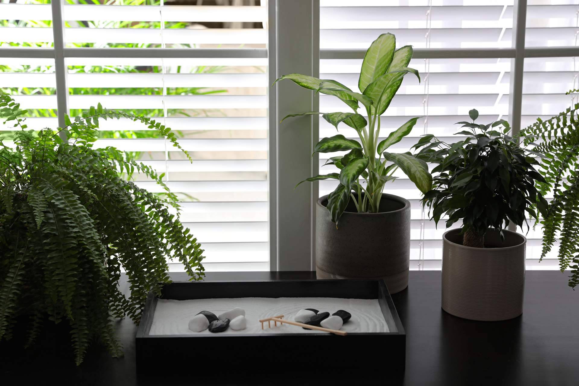 Sonia Ramos, ¿por qué es importante el Feng Shui en la decoración del hogar?