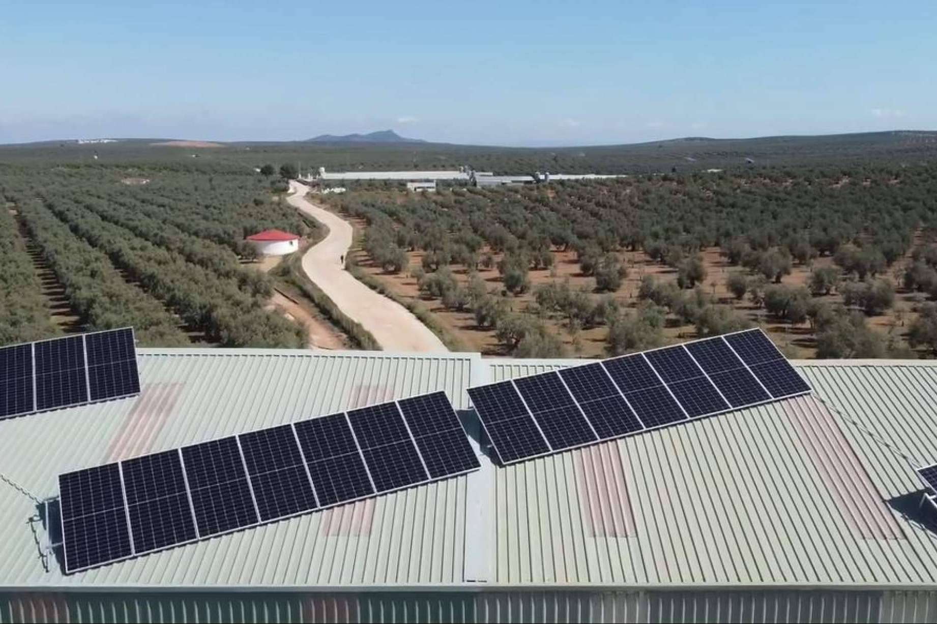 Los beneficios de contar con energía de autoconsumo en empresas, por TodoAgrícola