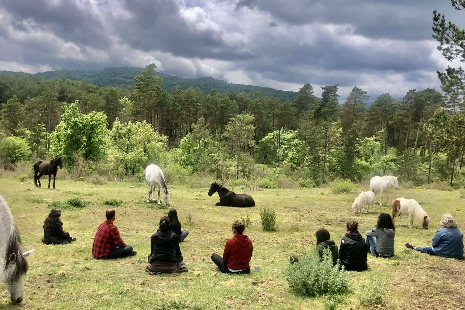 Aura, una escuela de formación especializada en acompañamiento asistido con caballos en libertad