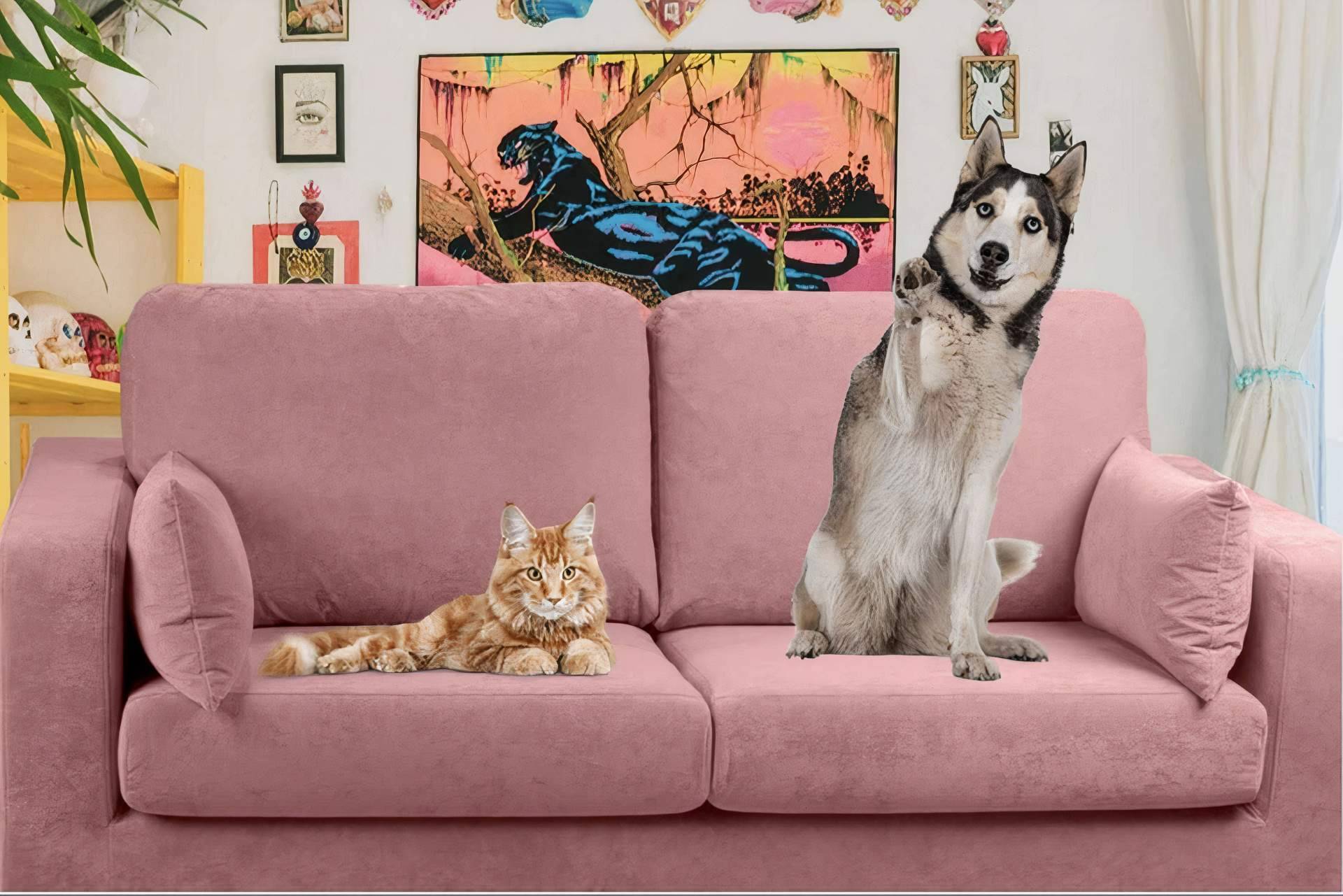¿Cuáles son las ventajas y desventajas de compartir el sofá con las mascotas?