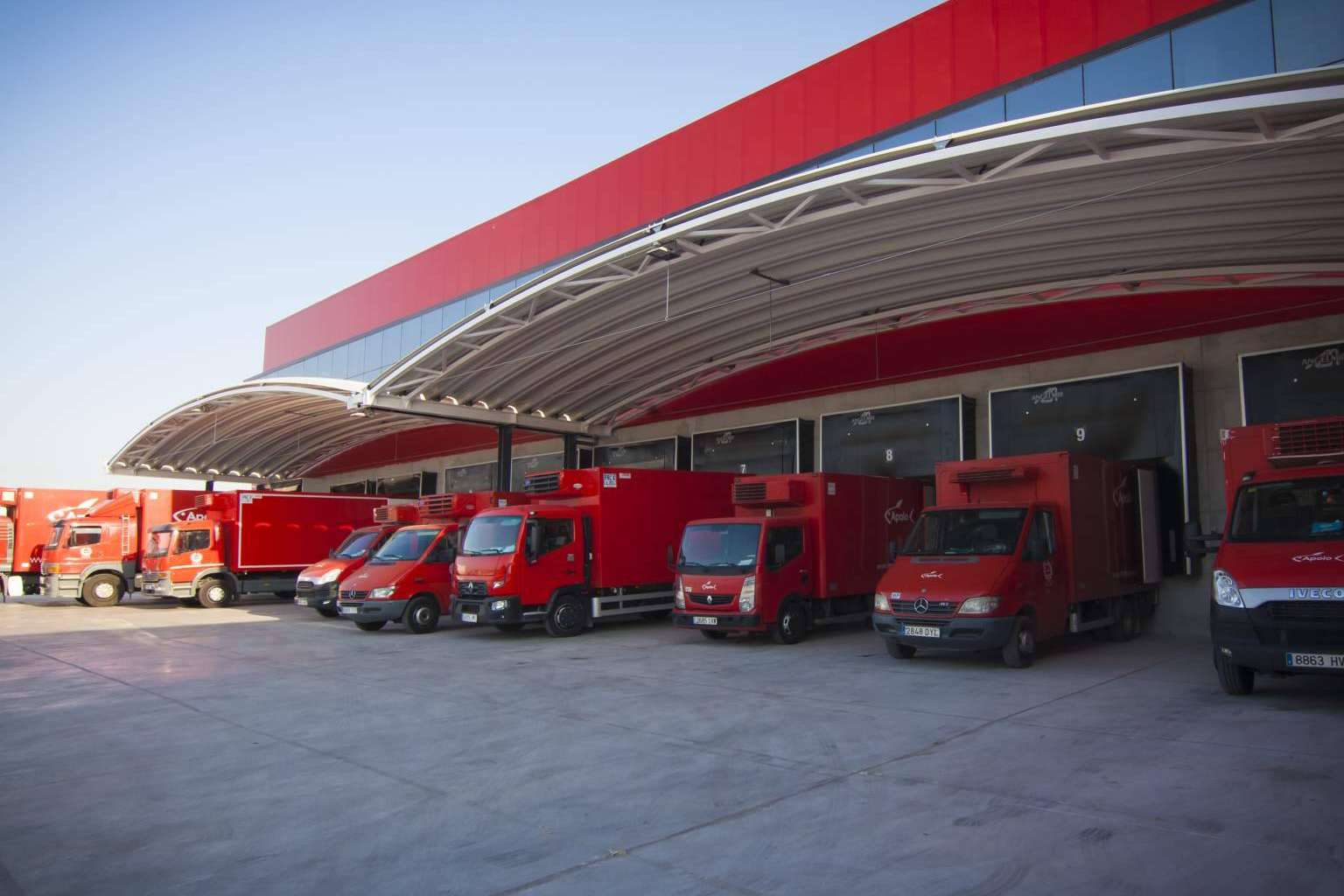 Comprar marisco congelado y de buena calidad a través de Mariscos Apolo