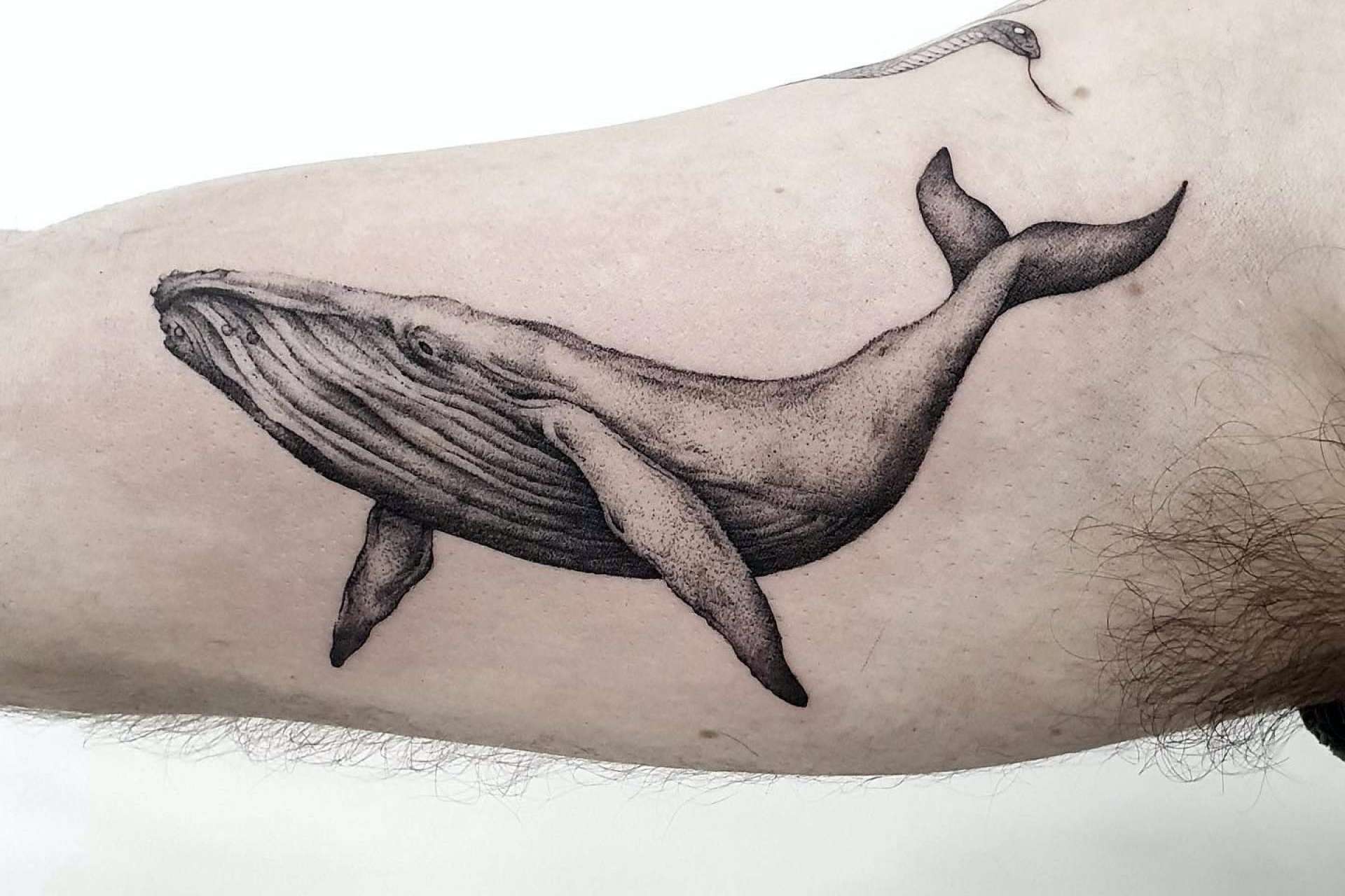 Cómo cuidar durante el verano un tatuaje recién hecho, por Vieja Escuela Tattoo