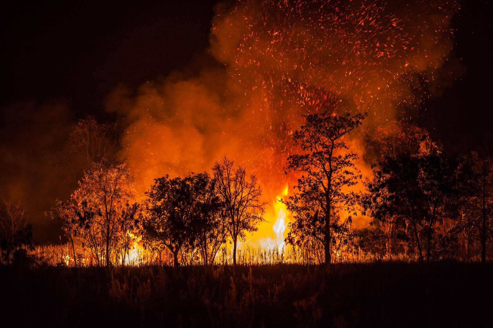 #SoydeMijas plantea como prevenir los incendios forestales en Mijas