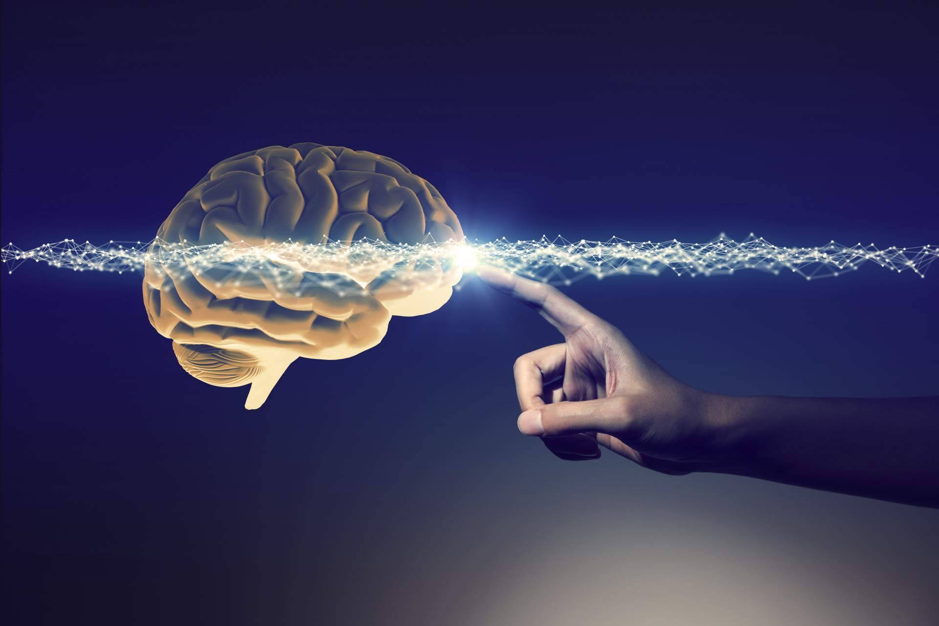 Las técnicas de Neurociencia aplicadas al aprendizaje de ILVEM