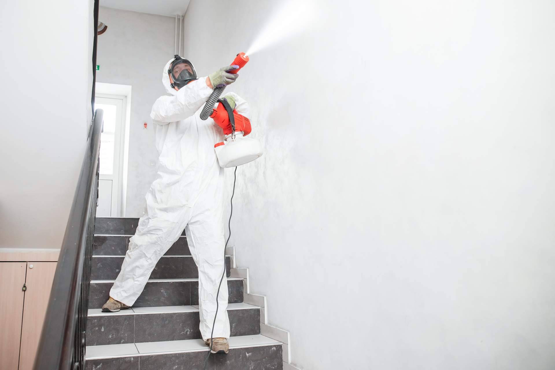 American Pest Control, la empresa de control de plagas de Madrid
