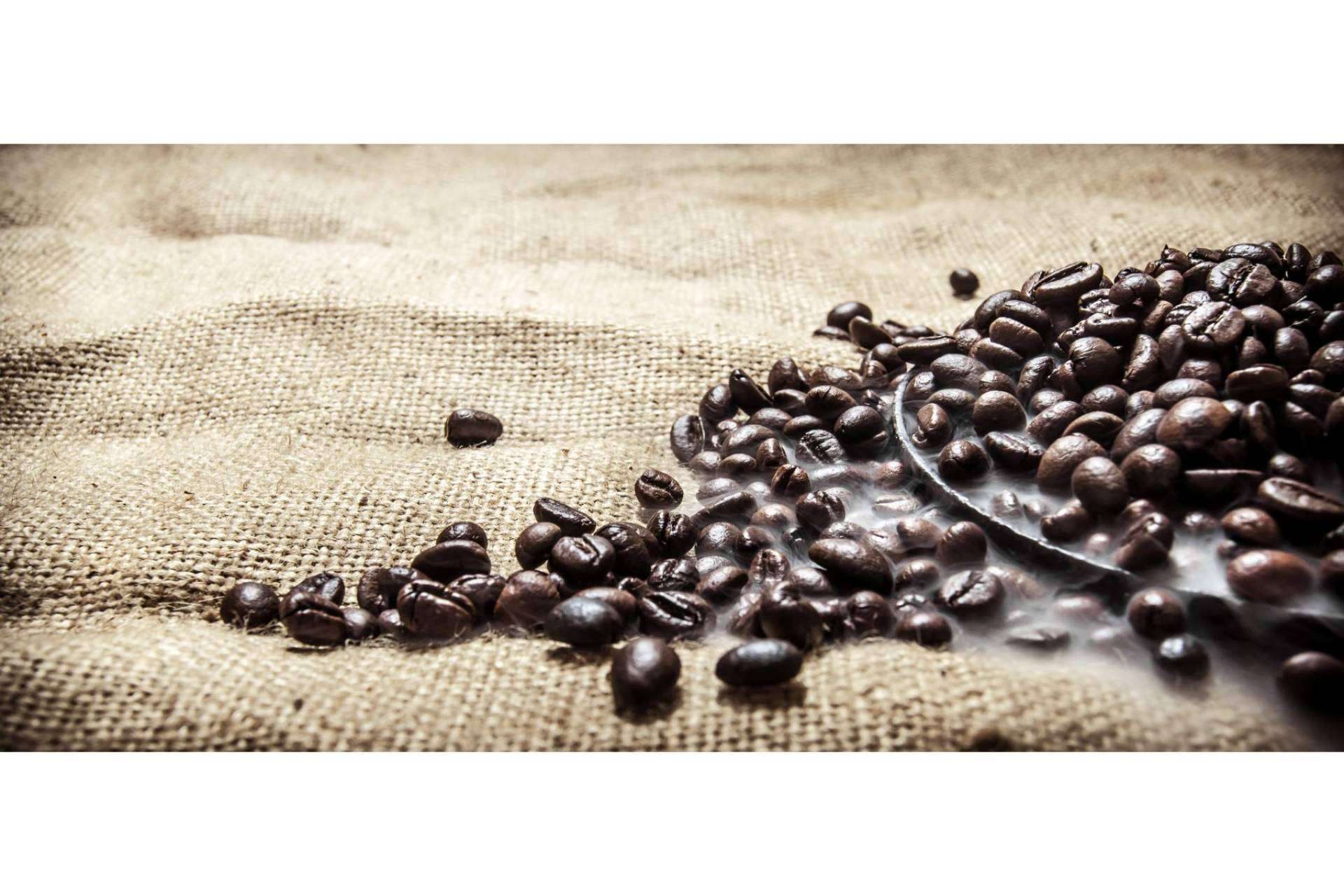 Orisens ofrece Xtrong, un nuevo café ecológico de alta intensidad