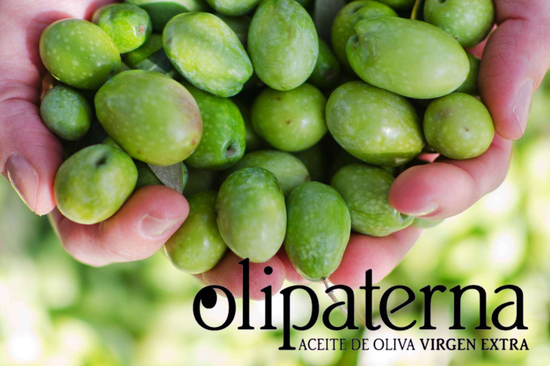 ¿Por qué las recetas saben mejor con el AOVE de Olipaterna?