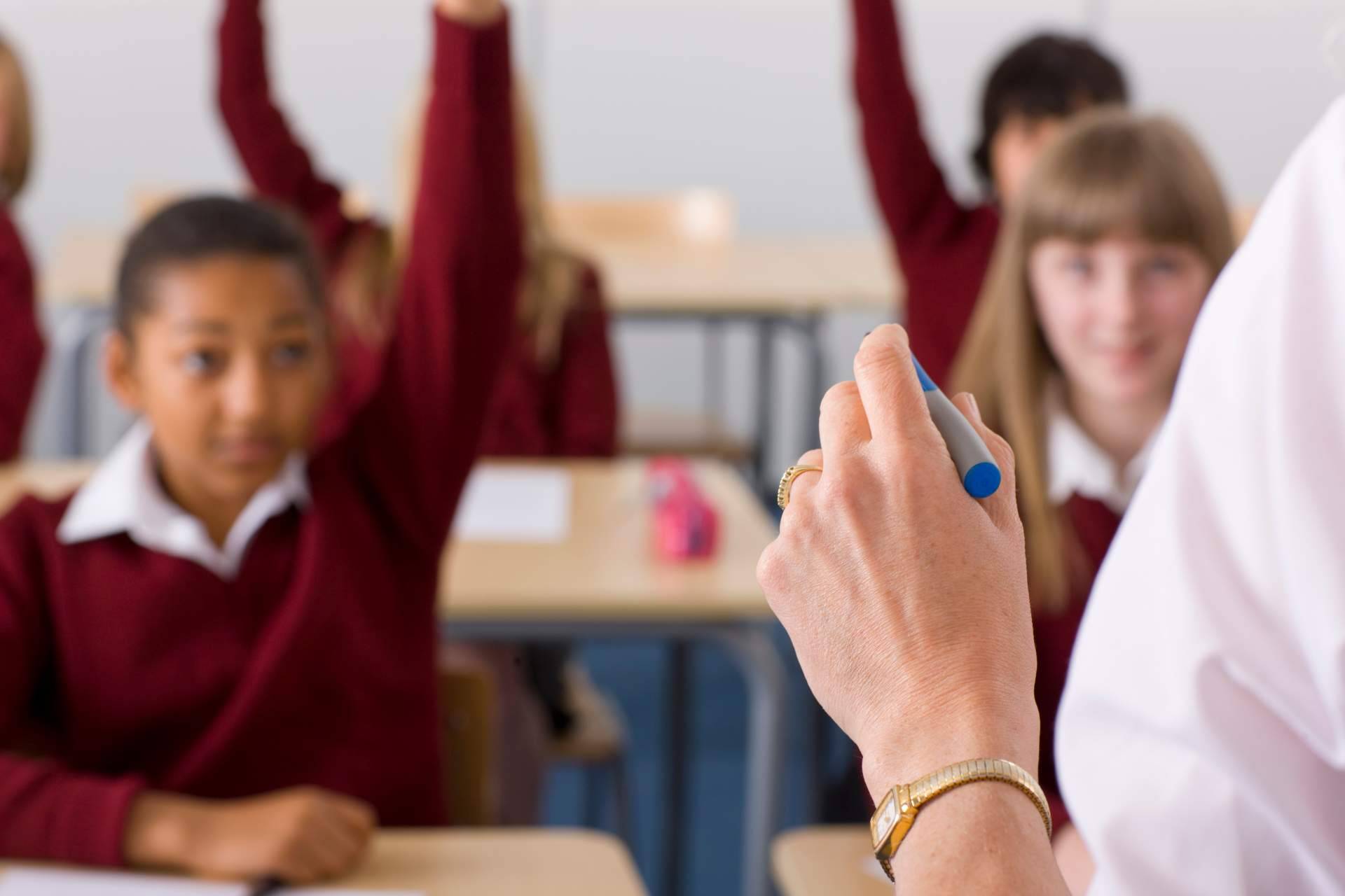 LT Distribuidora y sus servicios enfocados en la campaña escolar