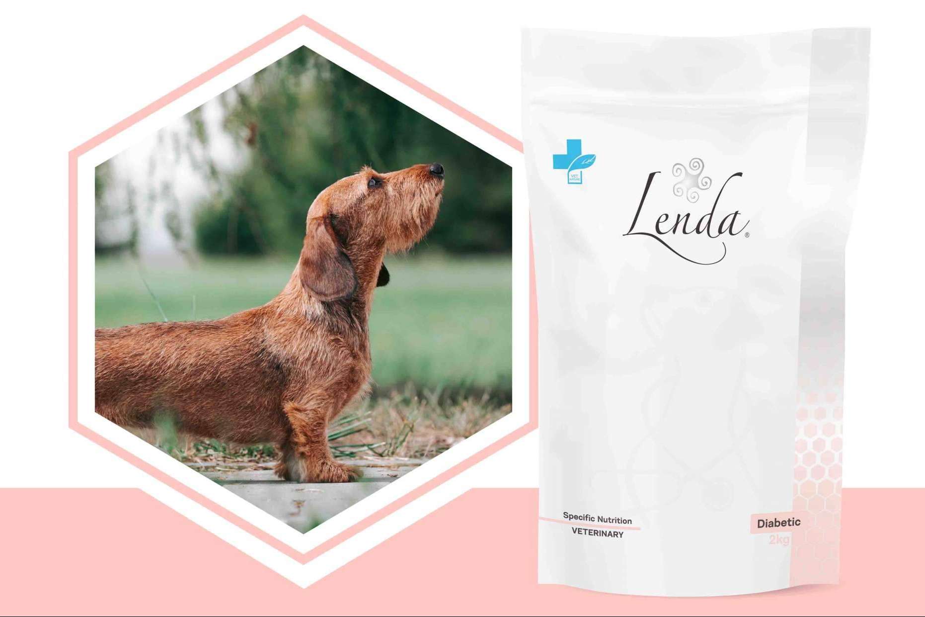 ¿Qué propiedades tiene el pienso para perros diabéticos de Lenda VET Nature?