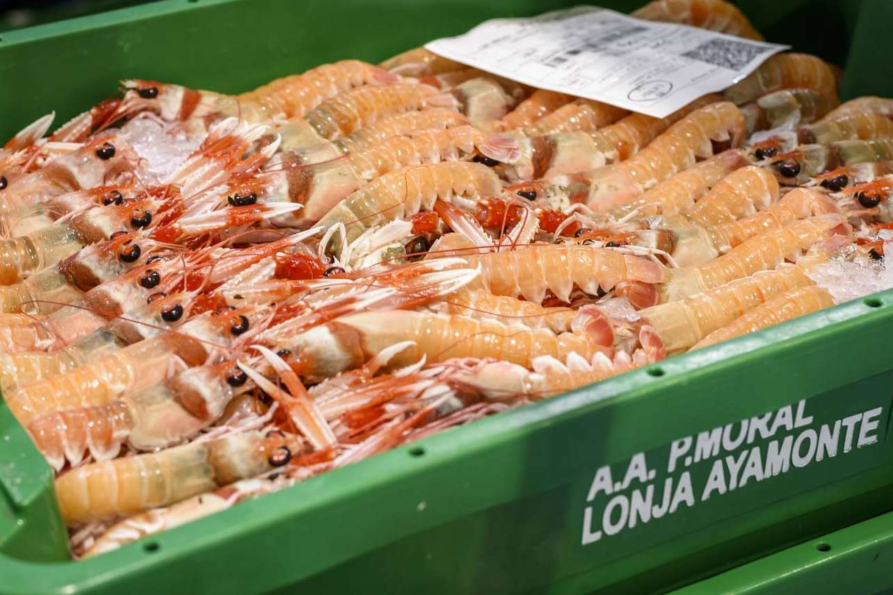 Comprar marisco para Navidad, las ventajas de comprarlo antes de las fechas claves