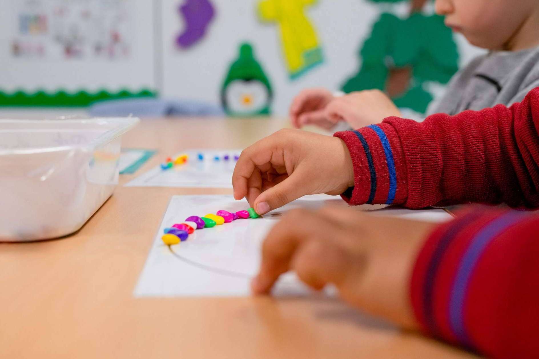 Las actividades complementarias de Pàlcam