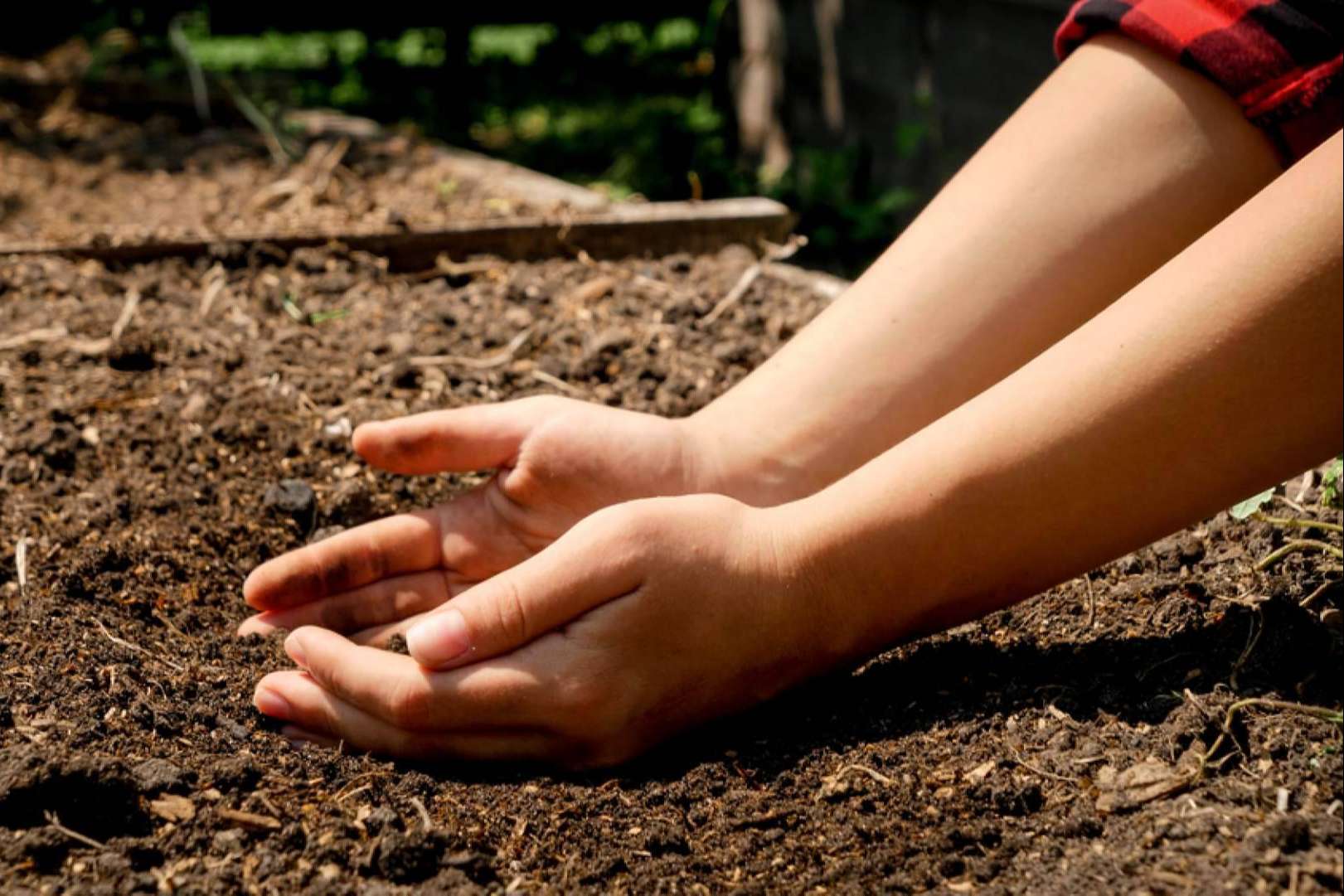 ¿Por qué es importante la agricultura sostenible?, por Saboranaranjas.com