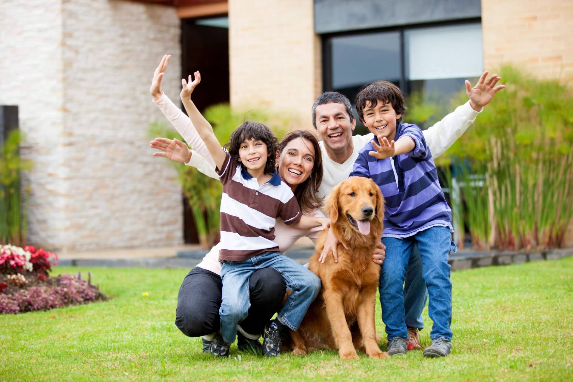 Cómo funciona un seguro para mascotas, según Barkibu