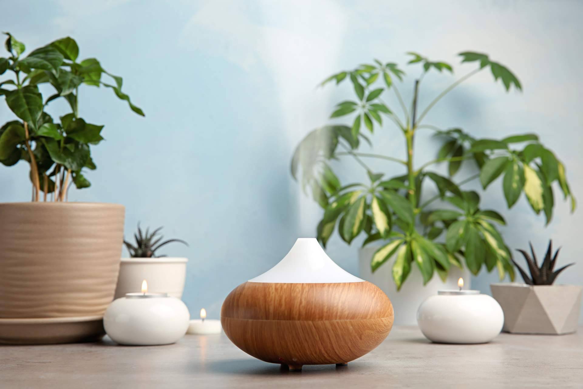 ¿Cuáles son las ventajas de utilizar humidificadores en casa?, por Hogar Climatizado