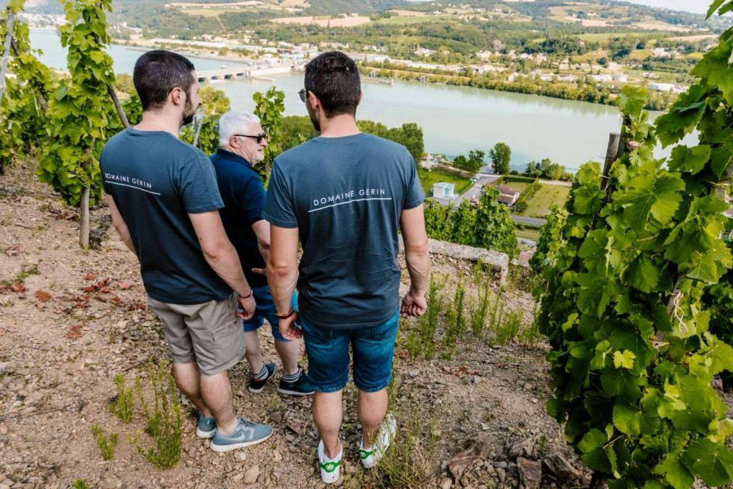 La Tintorería, una de las vinotecas con más vinos únicos de España