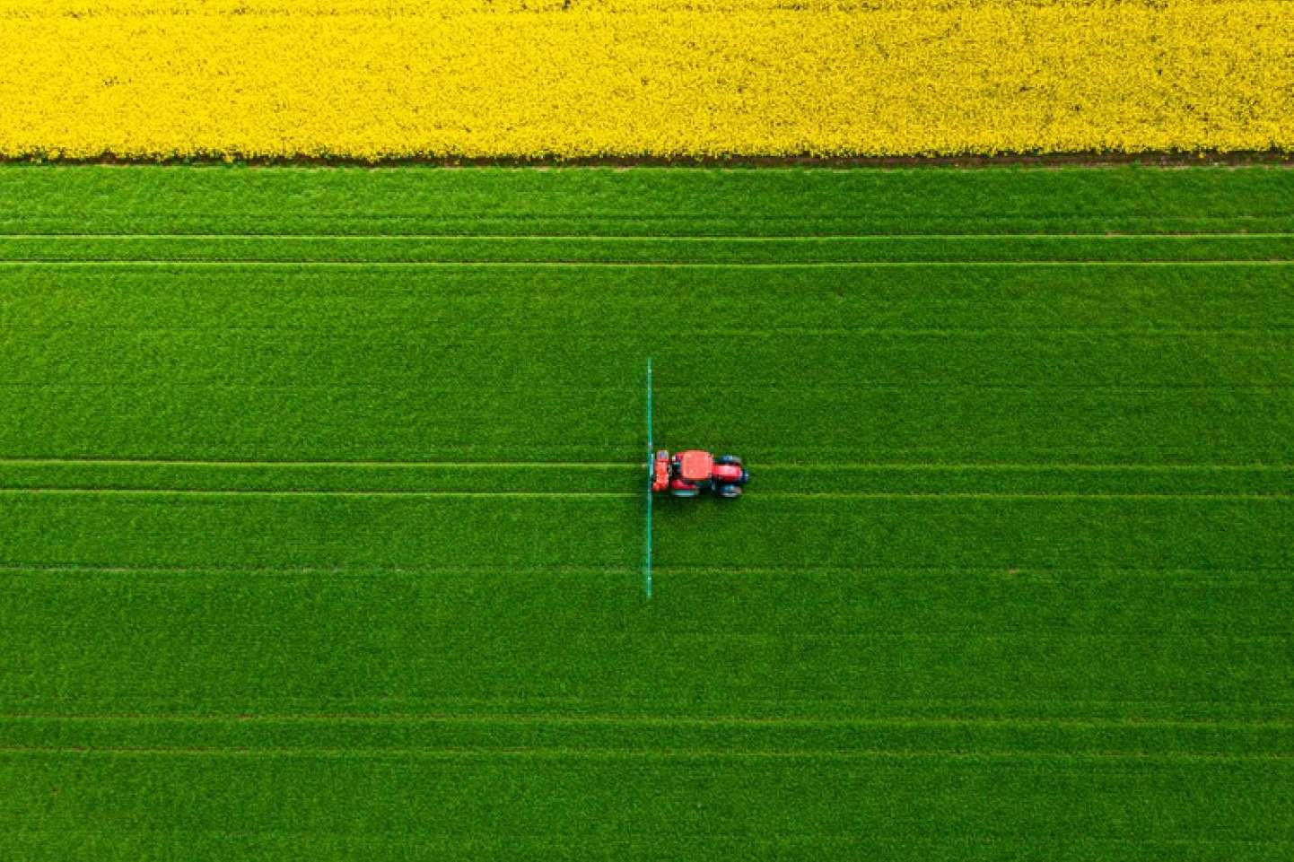 Elegir el seguro de tractor adecuado según cada necesidad, con Grupo Seguros Generales