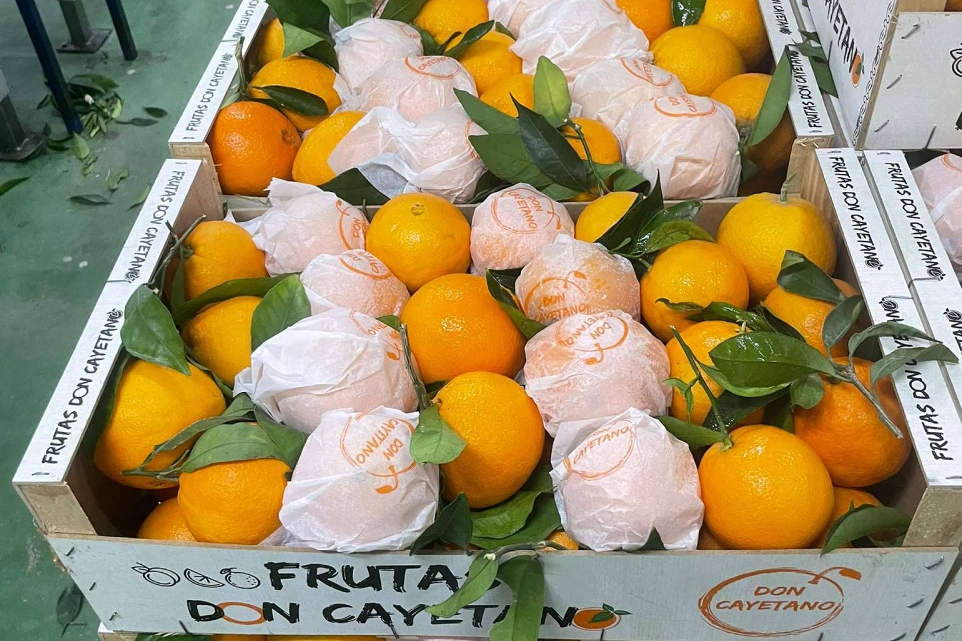 Frutas Don Cayetano, una empresa española que continúa su expansión