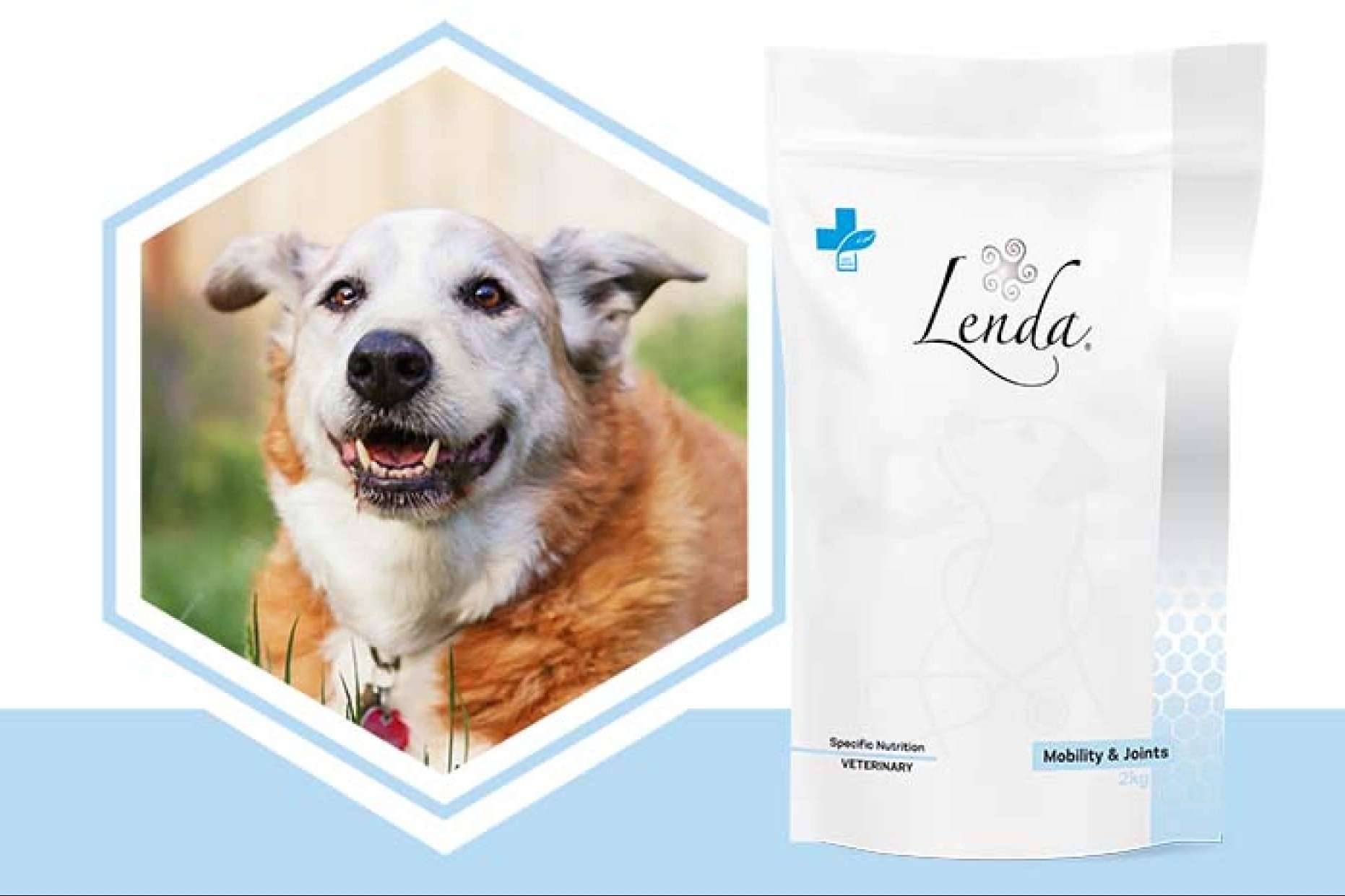 Mejorar la salud articular canina con Lenda VET Nature