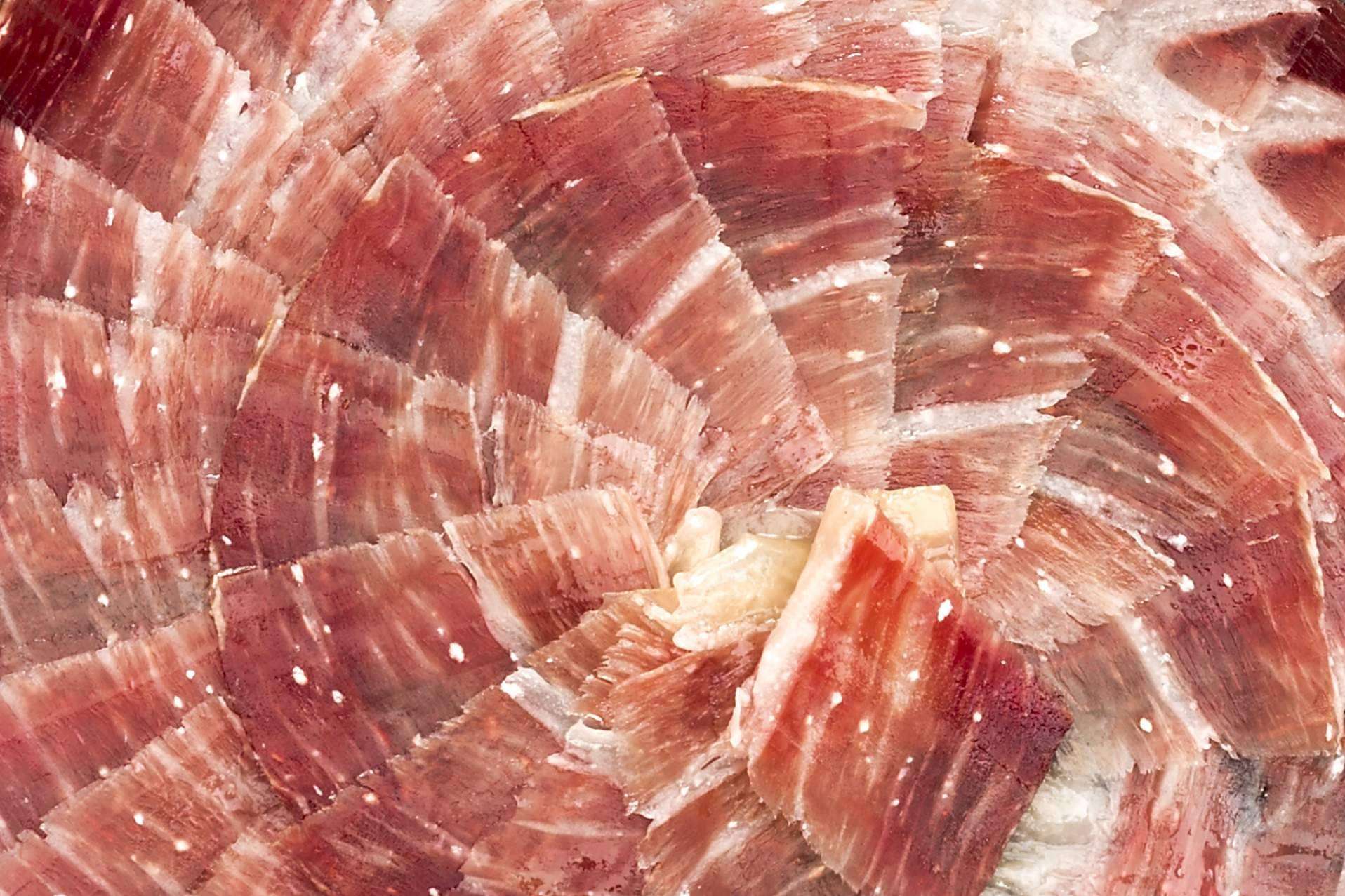 Comprar jamones y paletas ibéricas Segundín, el gourmet ibérico artesanal