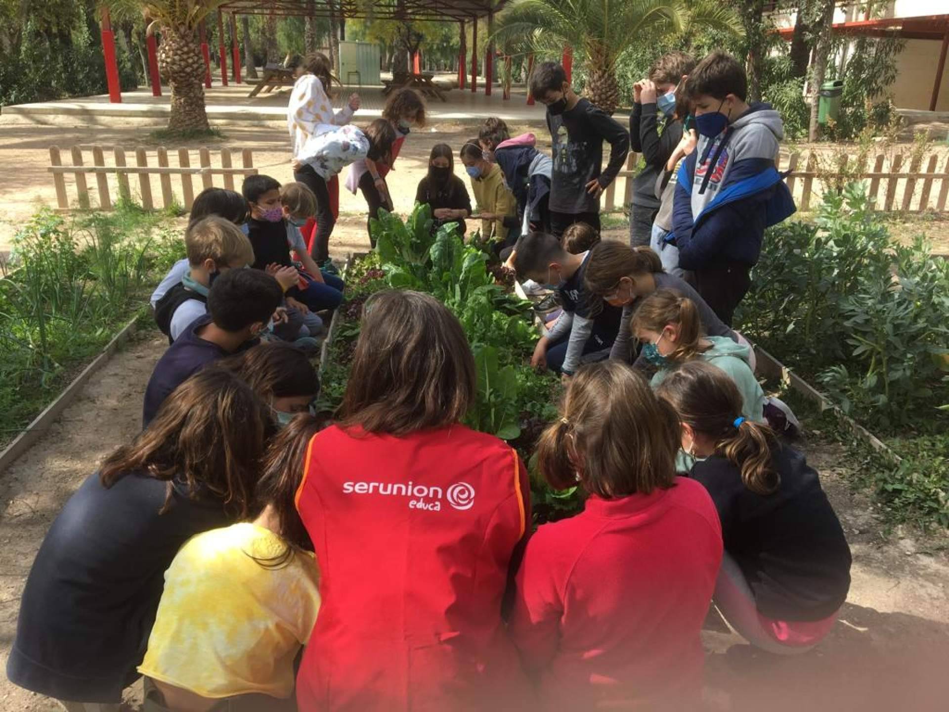 Serunion Educa impulsa la educación en los centros escolares para promover la salud, la convivencia y la sostenibilidad