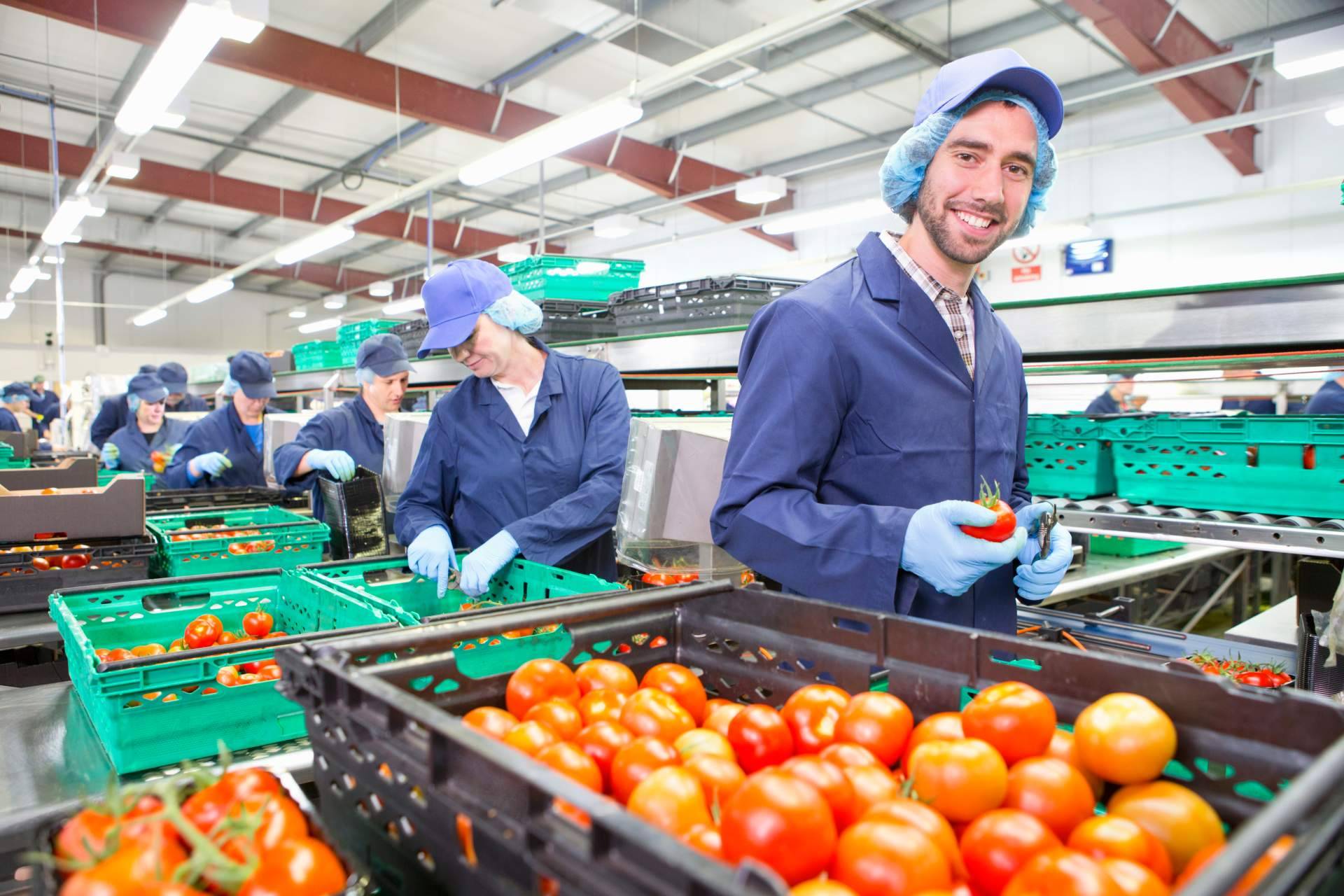 Aumentar la productividad con la automatización de los procesos en una fábrica, por Overtel