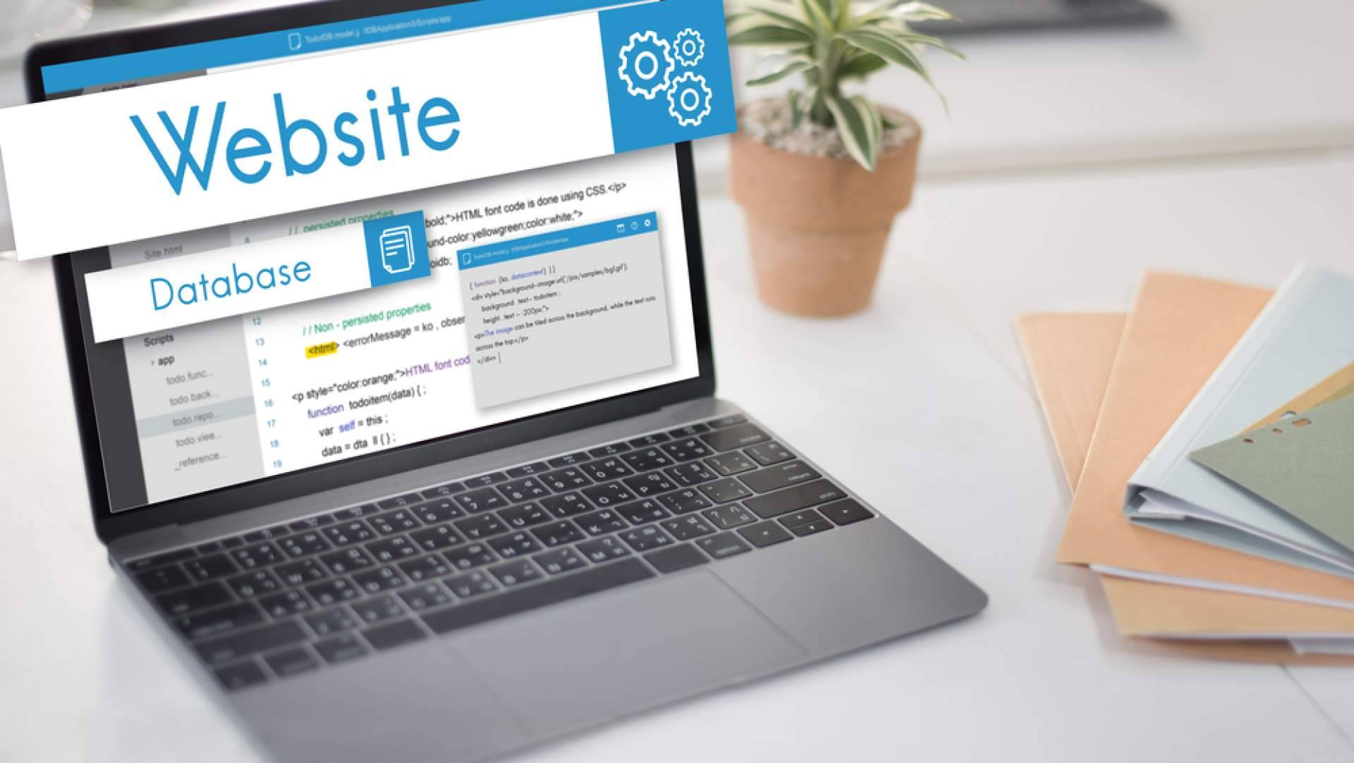 Agora y su servicio gratuito de estudio del posicionamiento web on page y off page de la web