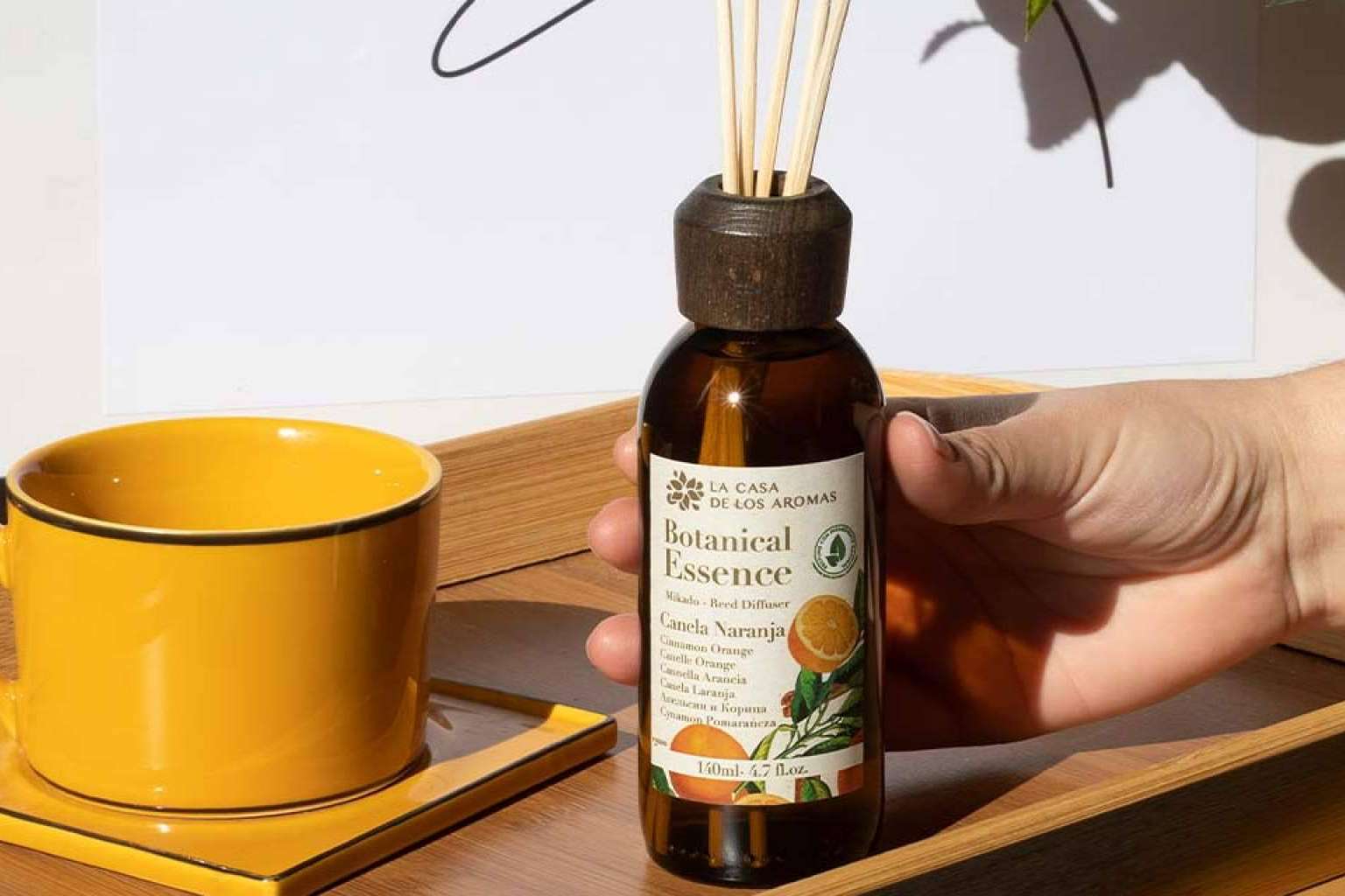Comenzar bien el 2023 con aromas y propiedades estimulantes y energizantes de La Casa de los Aromas