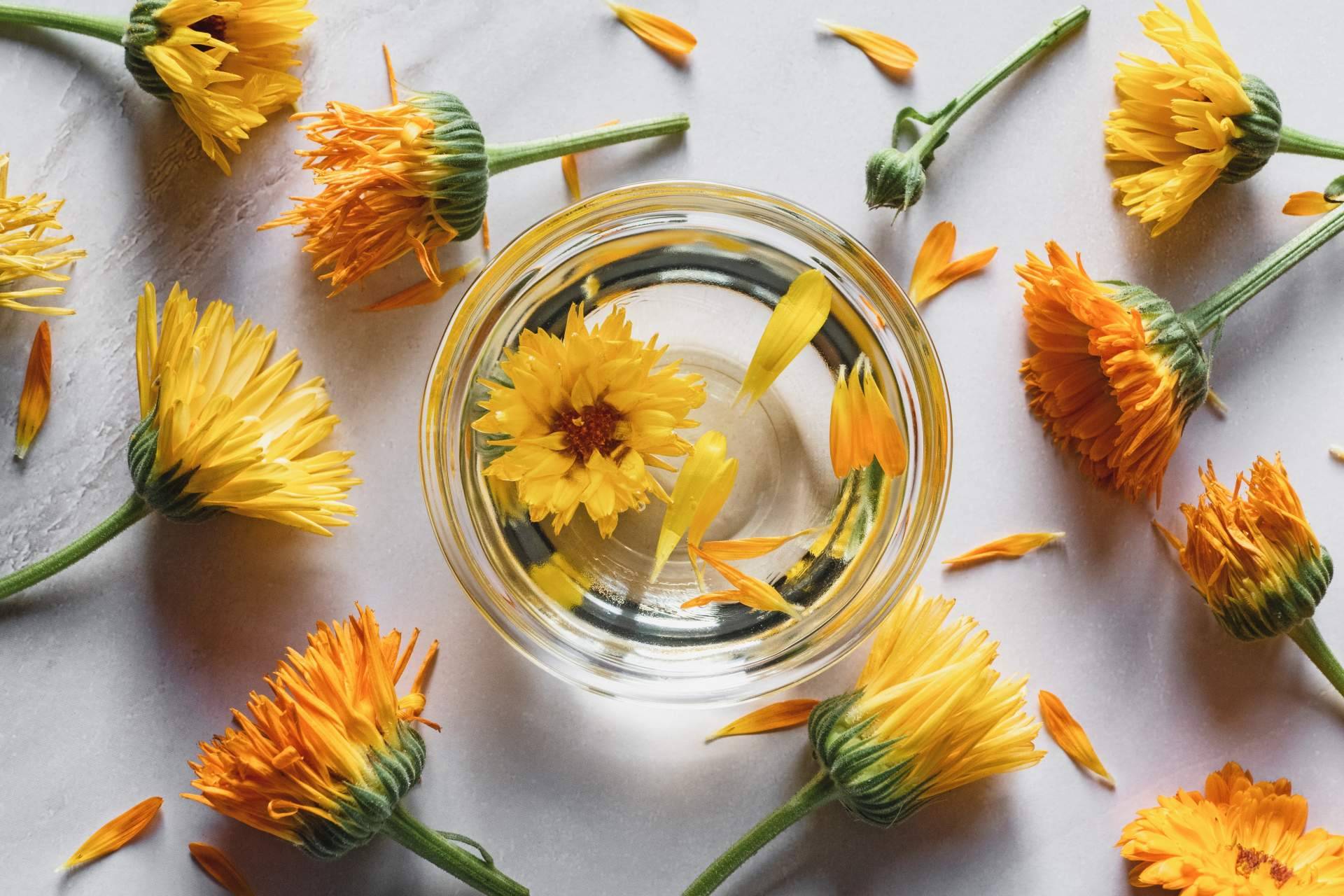 Los productos de nutricosmética de Theriac Wellness permiten cuidarse por dentro y por fuera