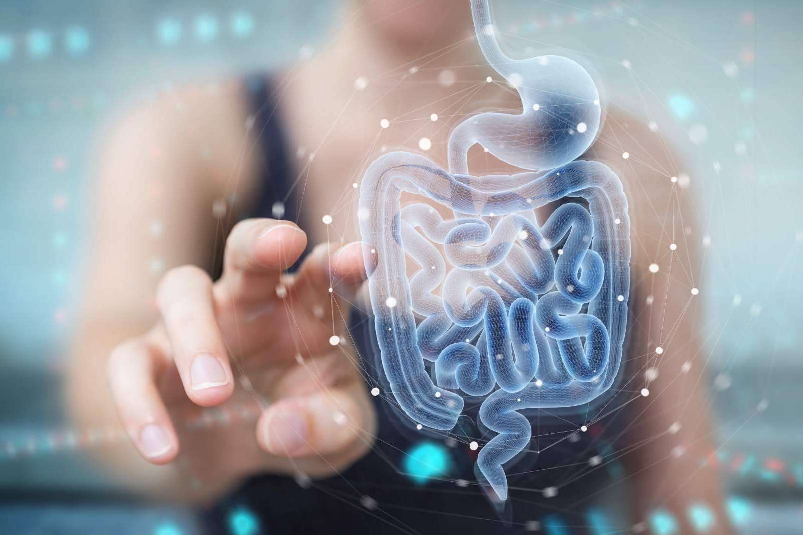 Mantener una microbiota intestinal saludable con los probióticos naturales de Bibefy