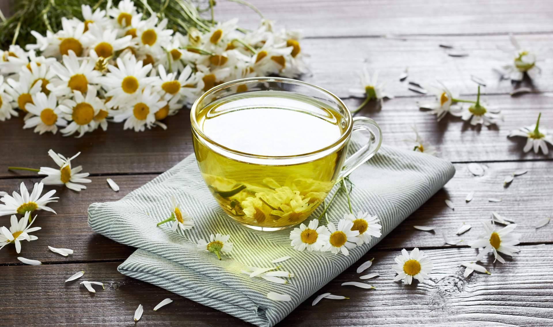 Volver a los inicios para cuidarse con los suplementos 100 % naturales sin pastillas, de la mano de Theriac Wellness
