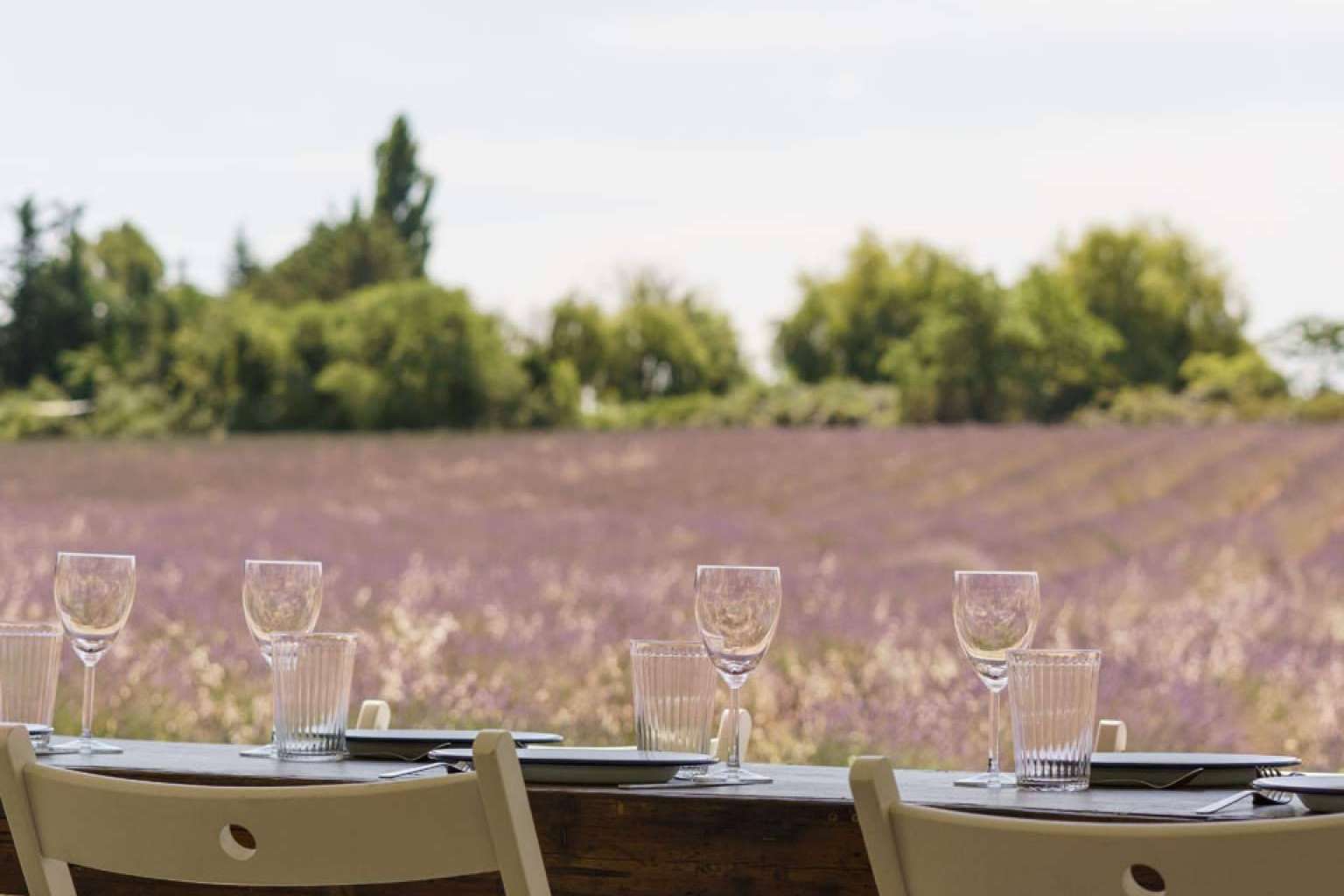 La organización de una degustación de vinos y paseo por Aix-en-Provence, Aviñón y Cassis de Planetazur Experiences