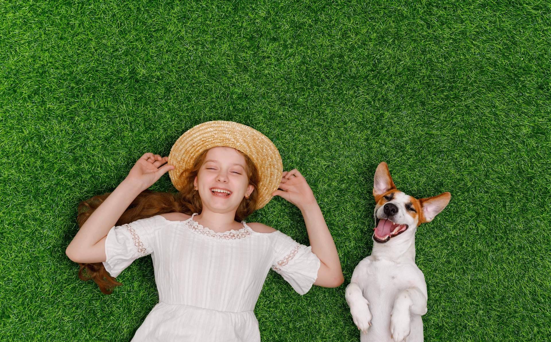 Real Grass, la empresa que ofrece césped artificial para mascotas