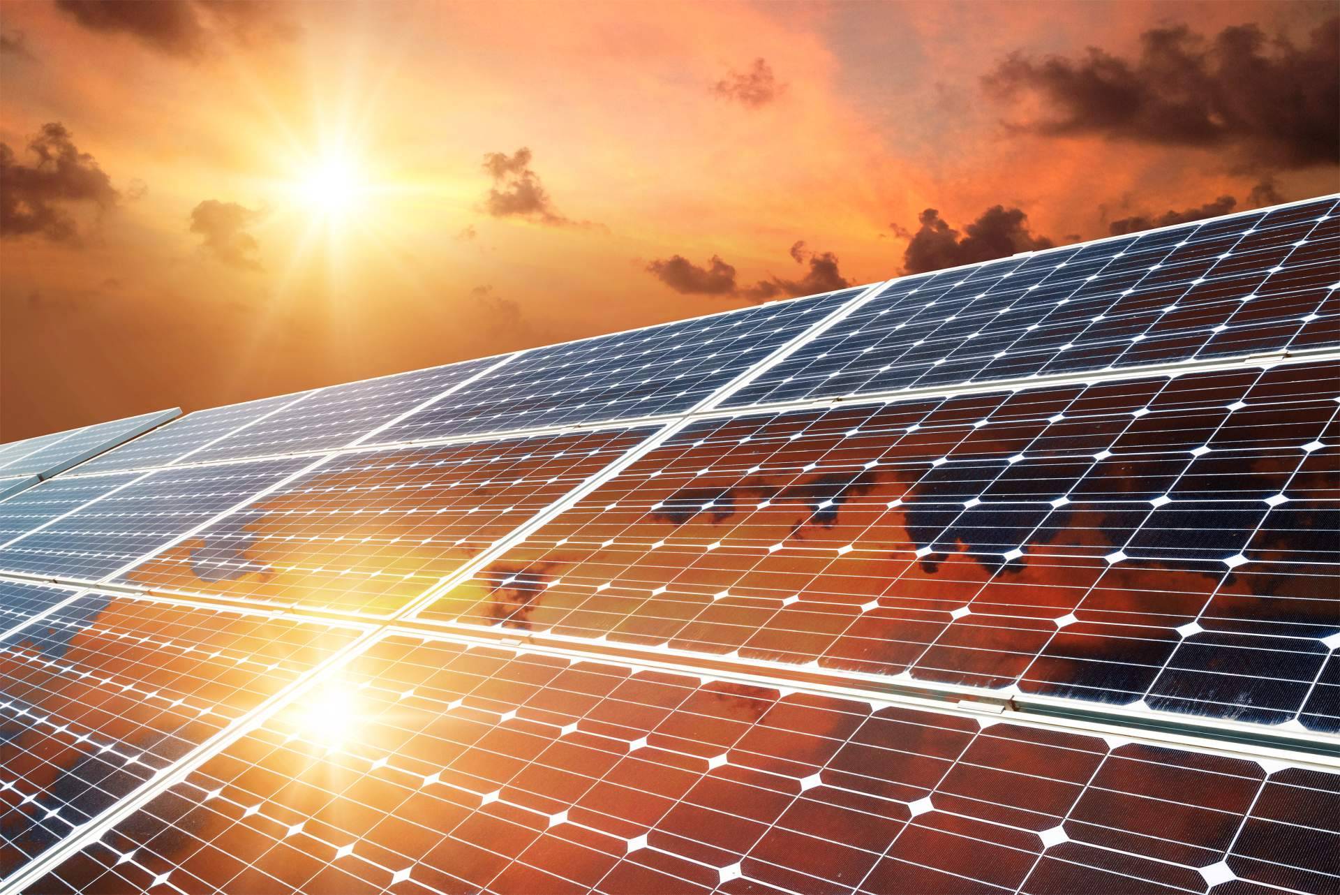 ¿Qué factores están provocando el auge de las energías renovables en todo el mundo?