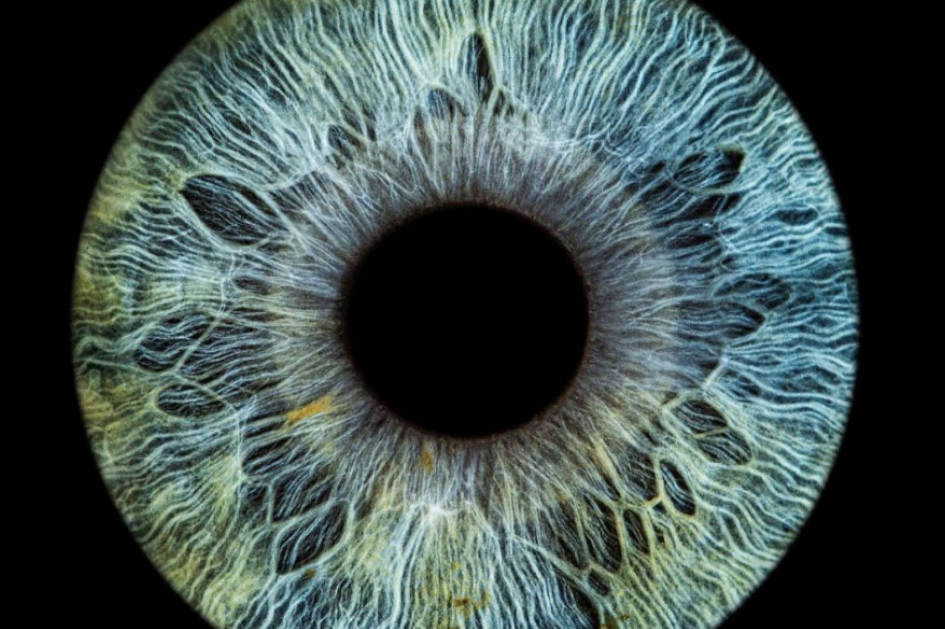 Nueva técnica fotográfica de alta definición del iris, de la mano de Eyecos