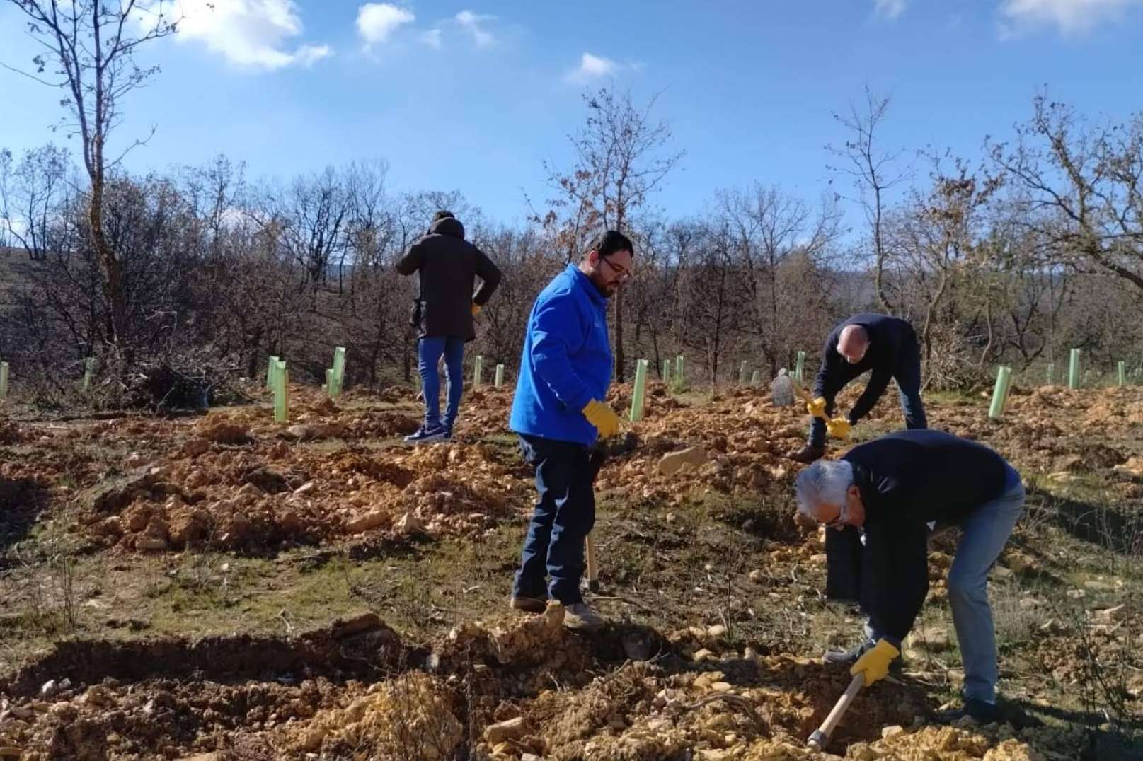 FOXY (ICT Ibérica), la Fundación Alcoraz y CO2 GESTIÓN permiten recuperar los bosques quemados de Zamora