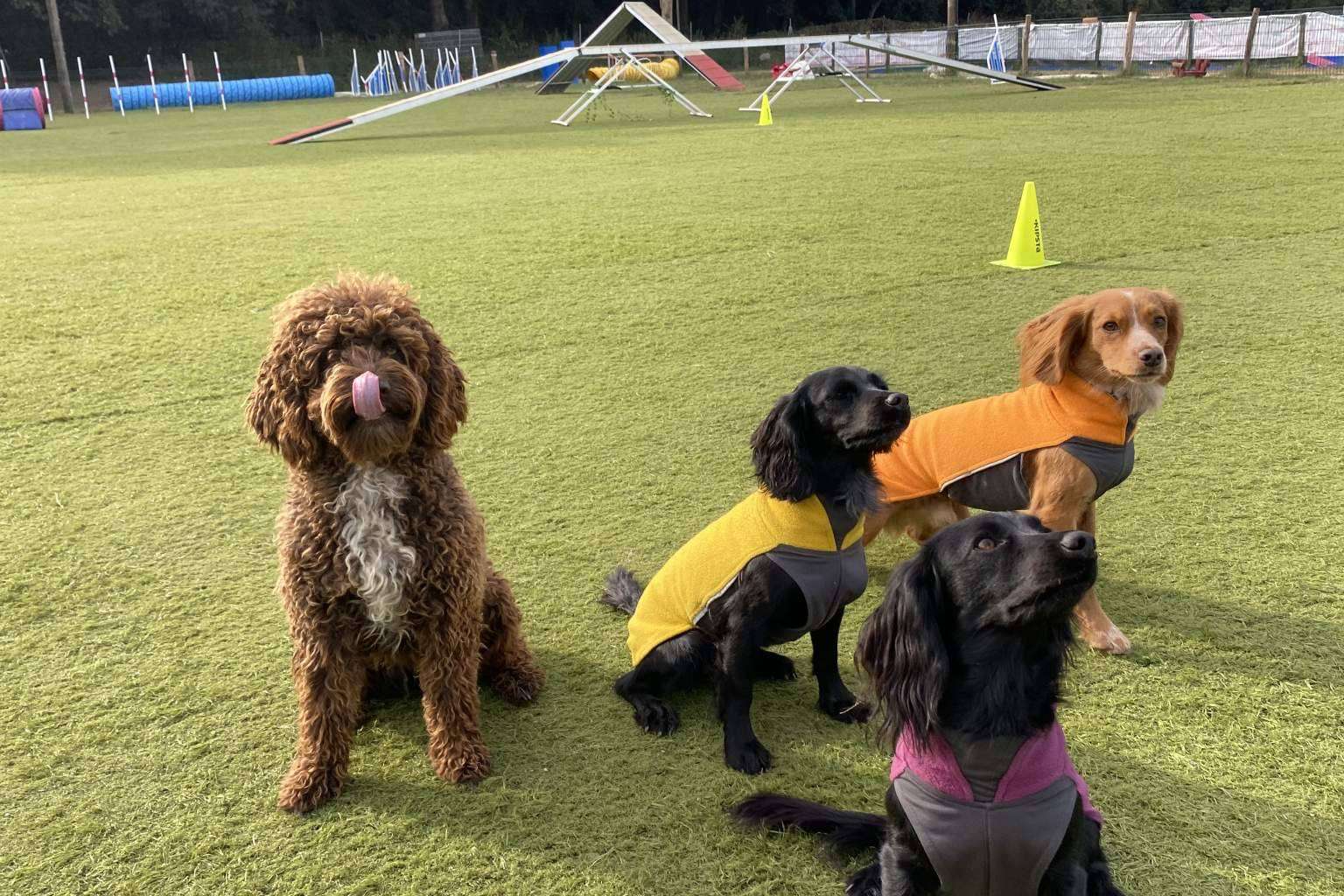 El pasado 11 de marzo arrancó el nuevo curso de educación canina de los sábados de la mano de l'Almozara Can Bosc