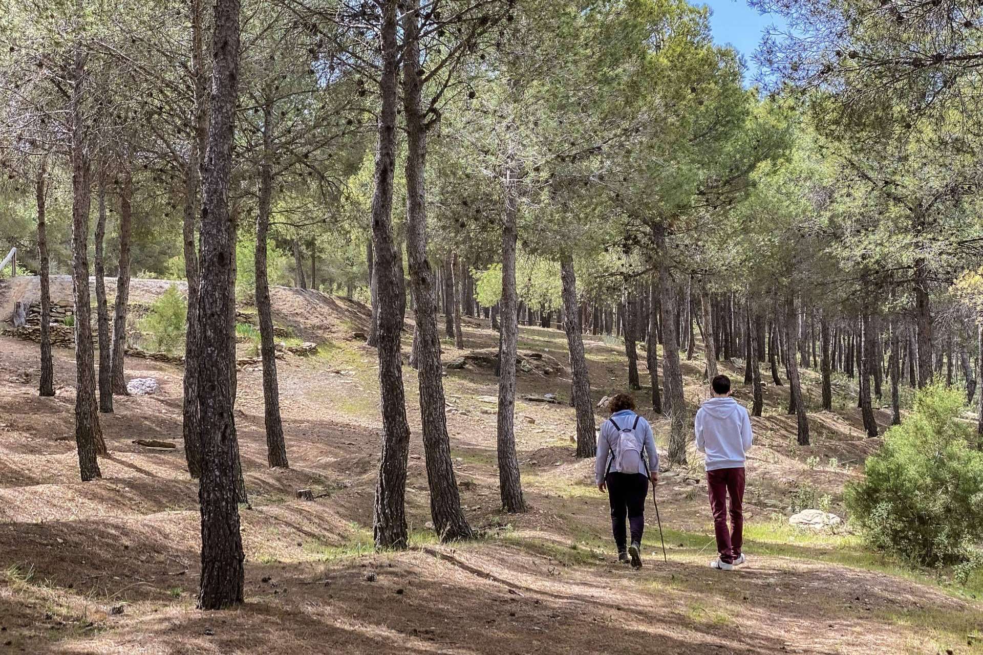 ¿Qué hacer en el interior de Almería? Turismo en Almería con Turismo Almanzora